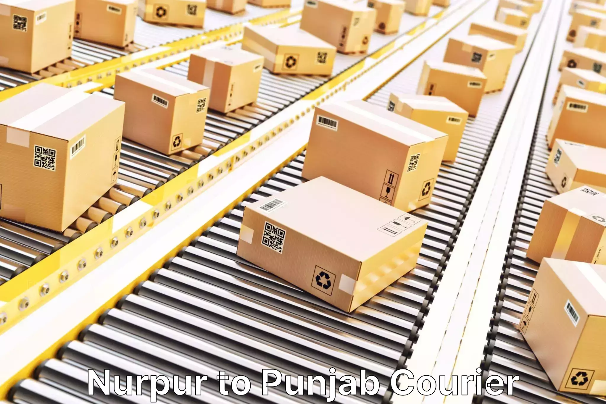 High-capacity parcel service Nurpur to Patran