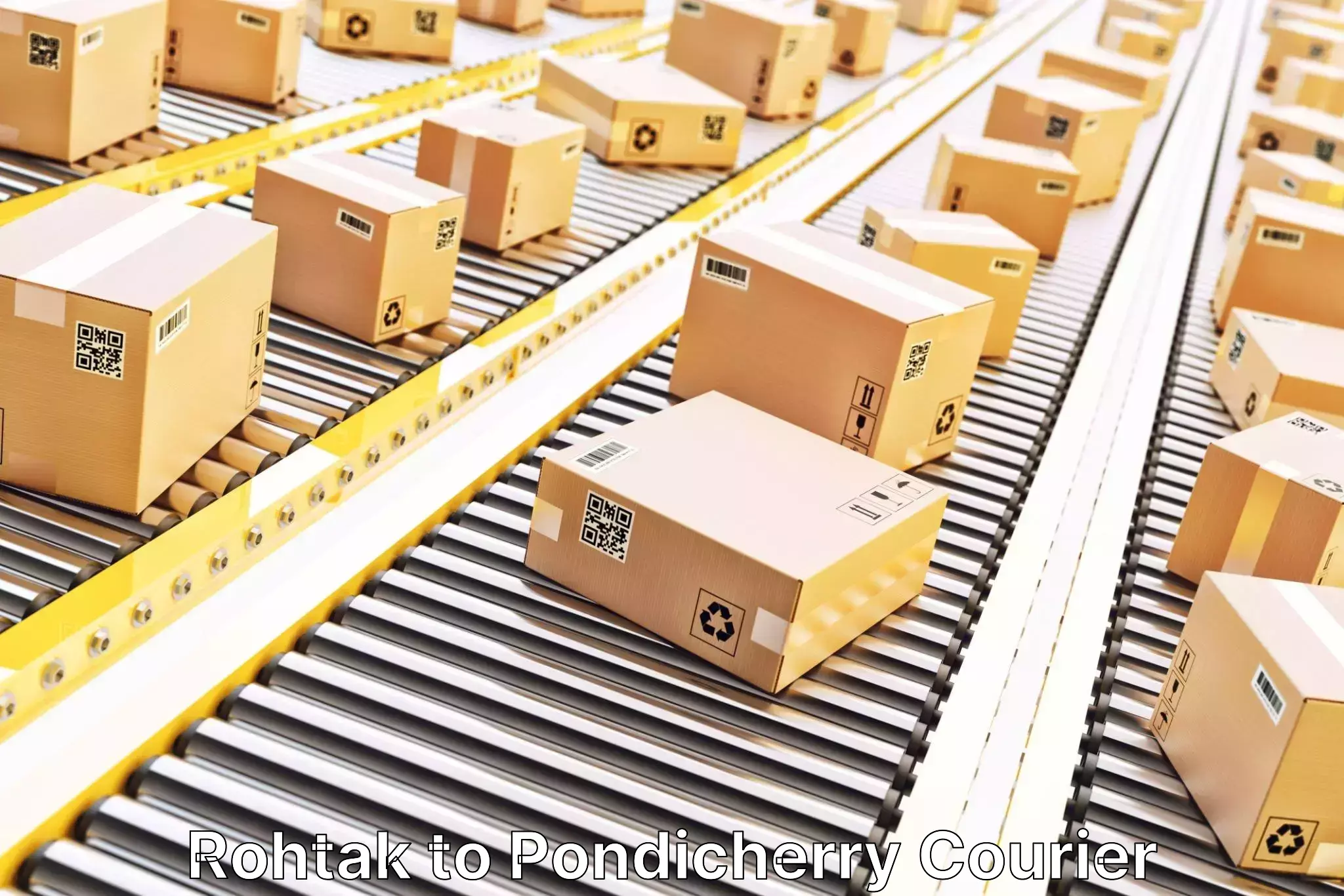 Automated parcel services in Rohtak to Metttupalayam