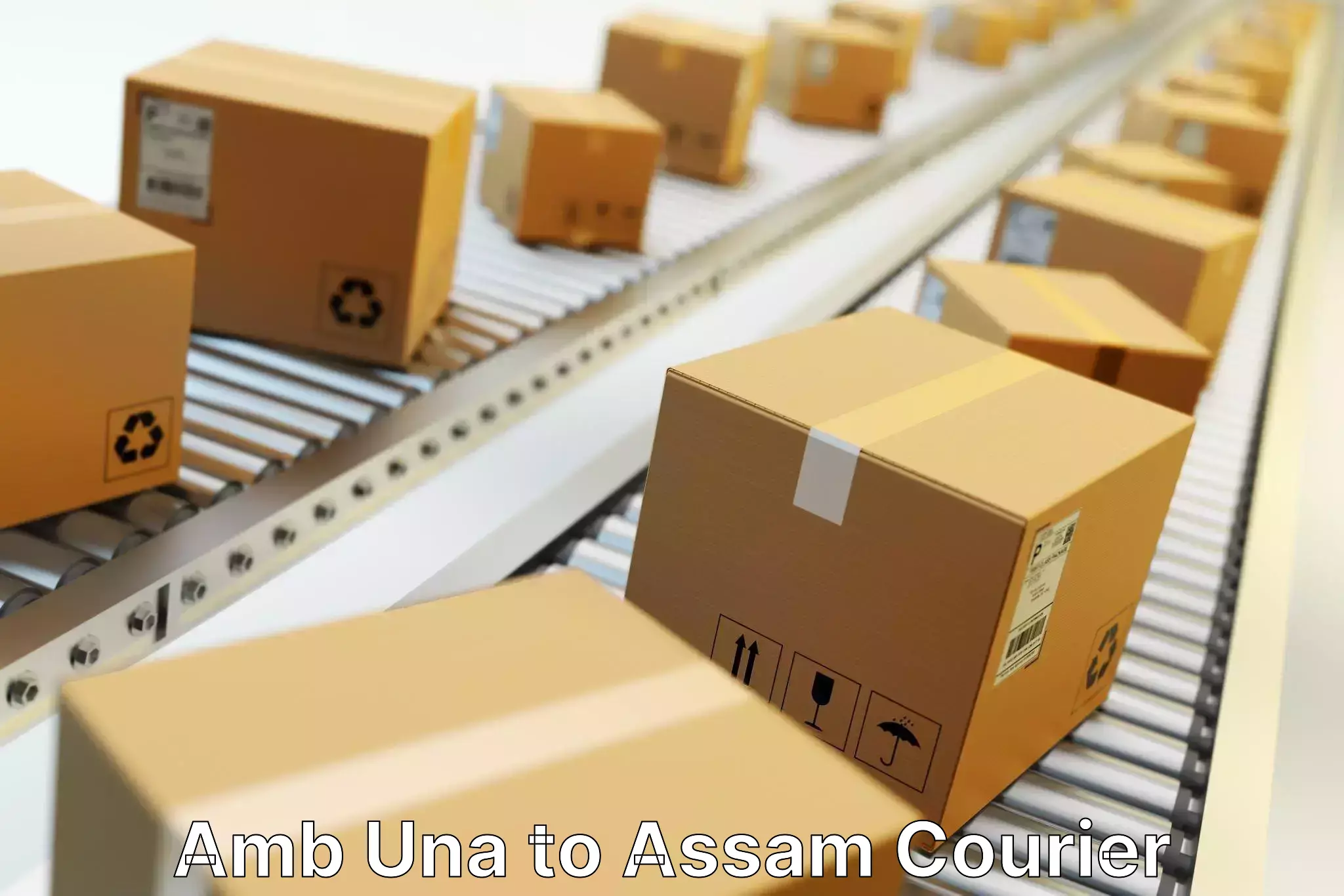 24-hour courier service Amb Una to Chaparmukh