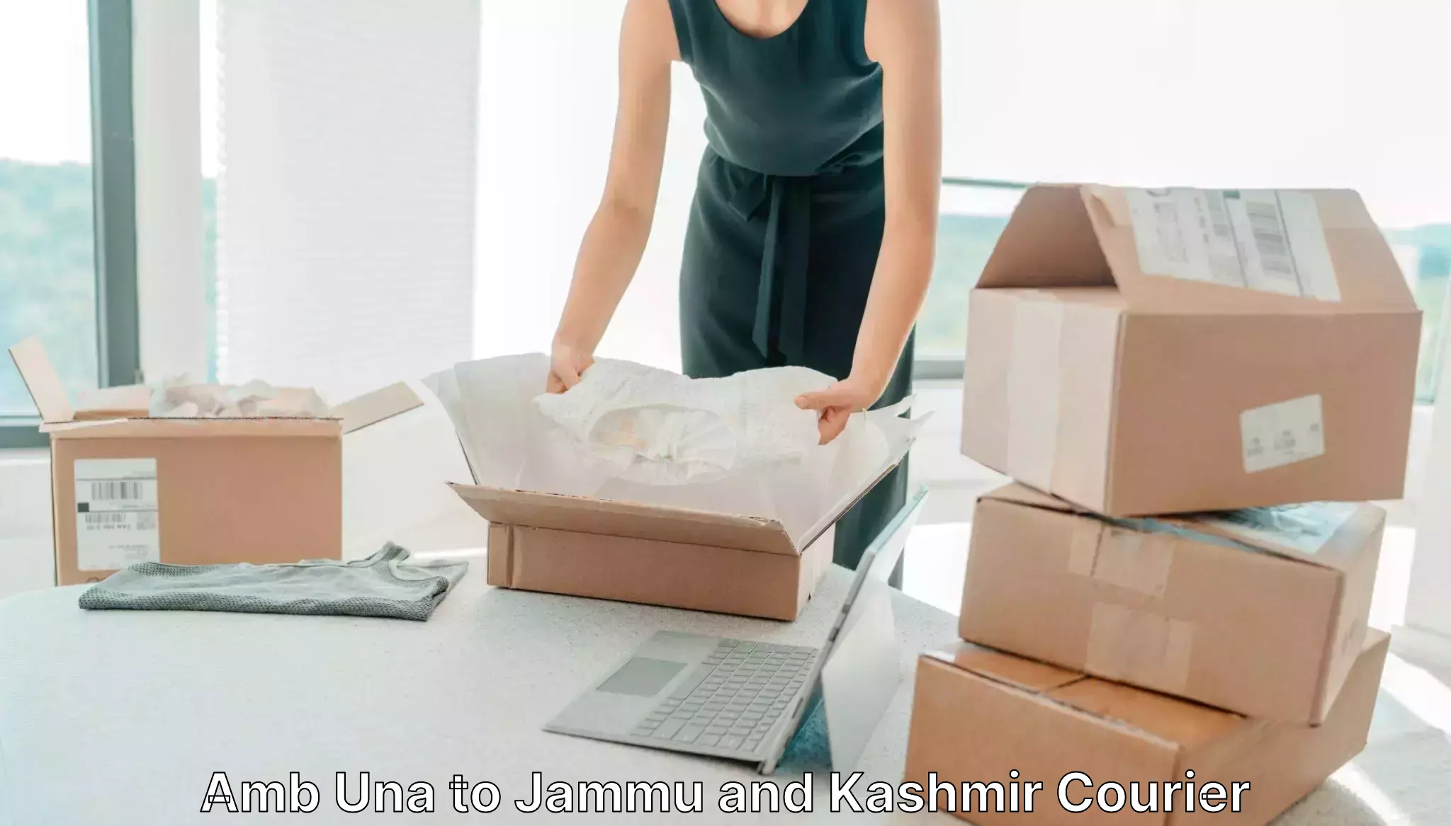 Local courier options Amb Una to Ramnagar Udhampur