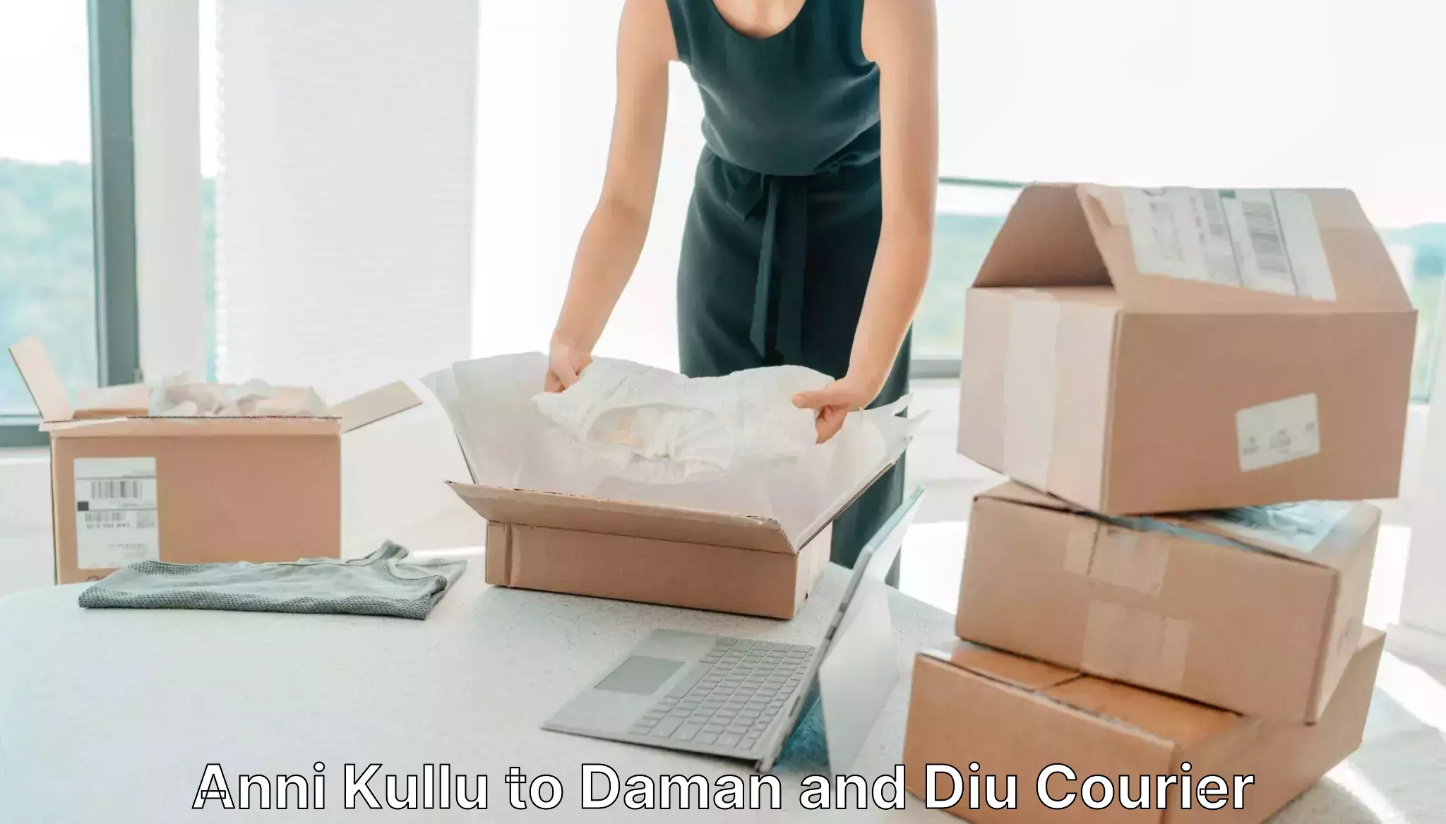 Comprehensive logistics Anni Kullu to Daman and Diu
