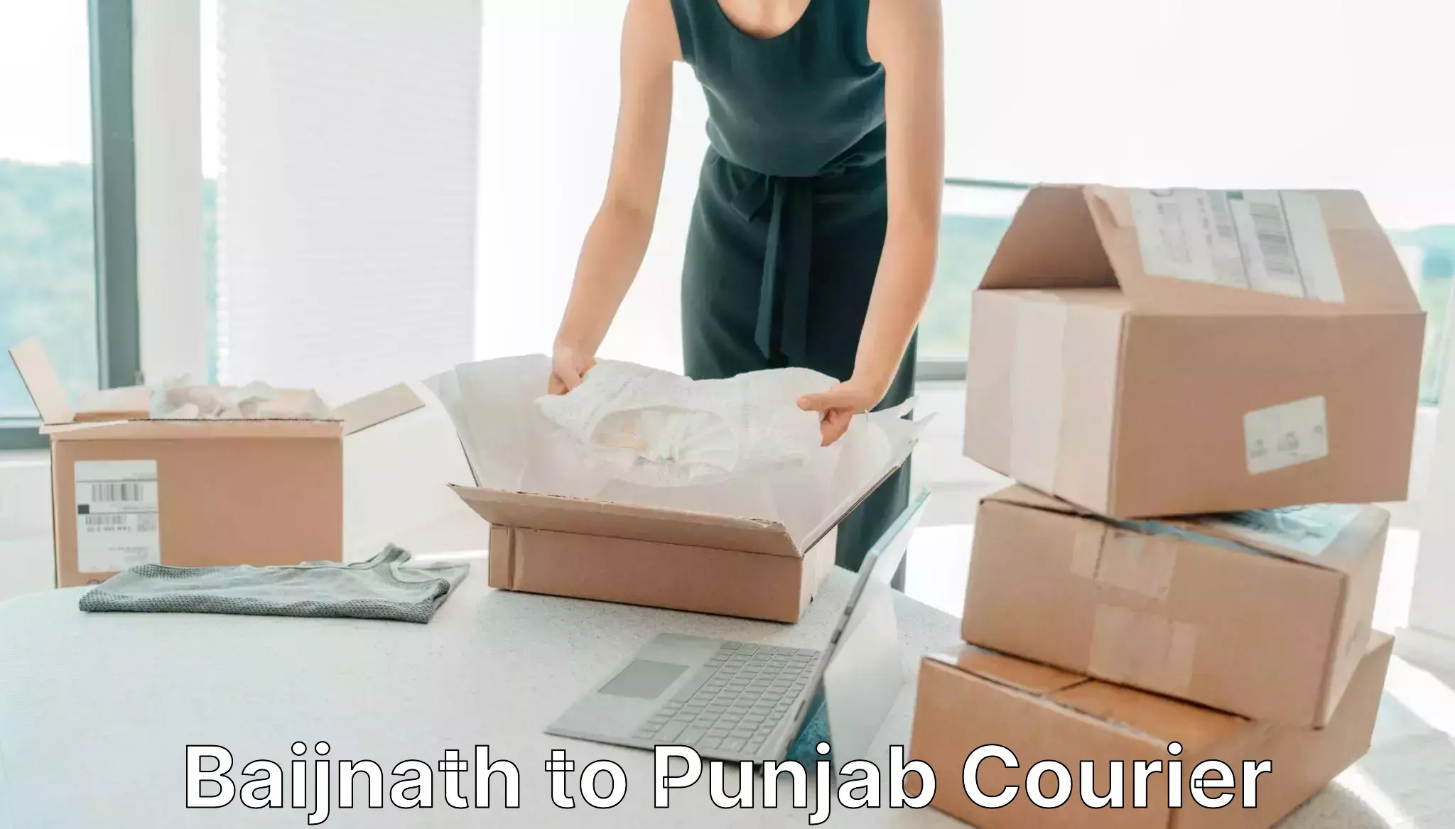 Tailored delivery services in Baijnath to Punjab