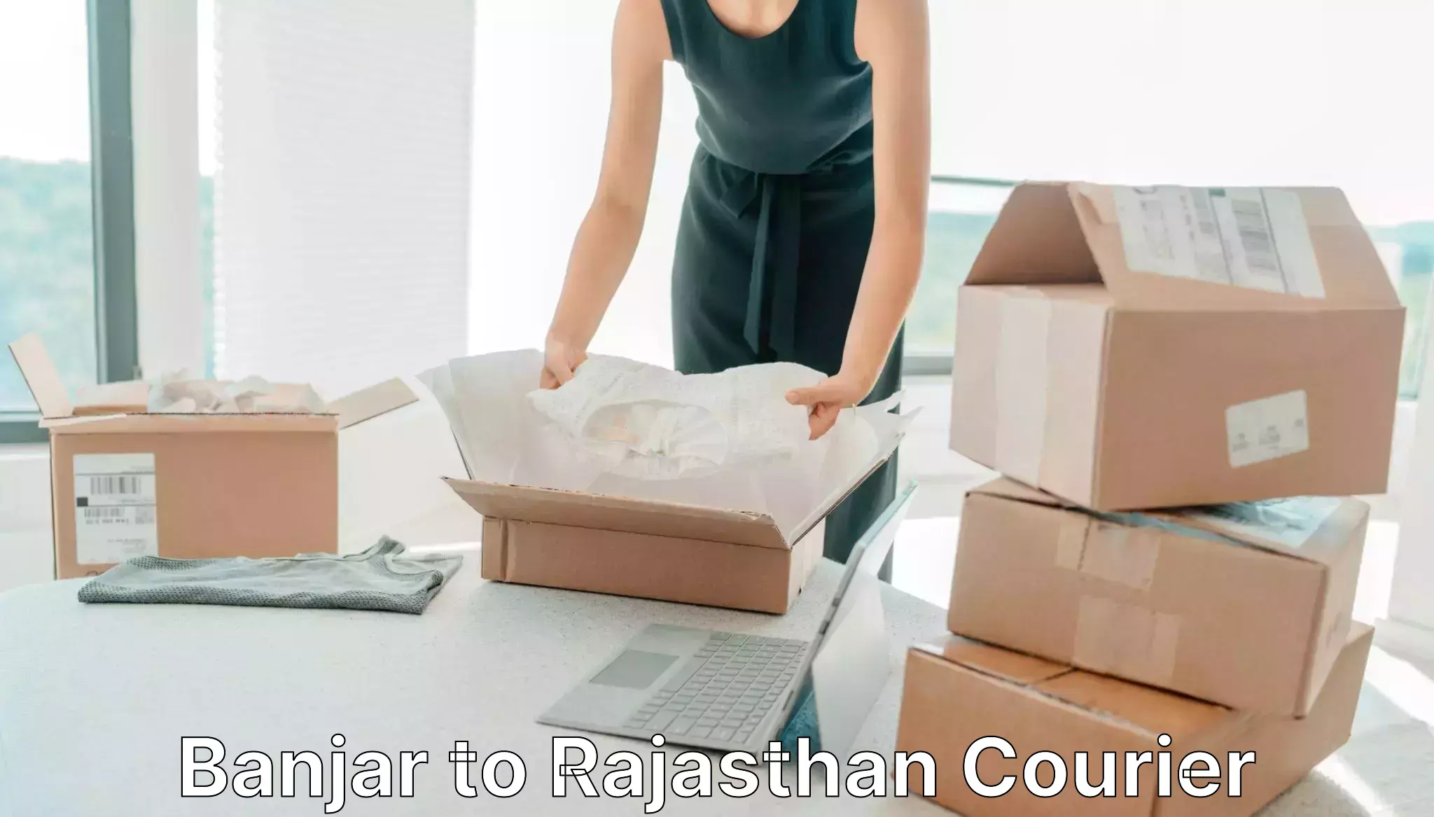 Regular parcel service Banjar to Shri Dungargarh