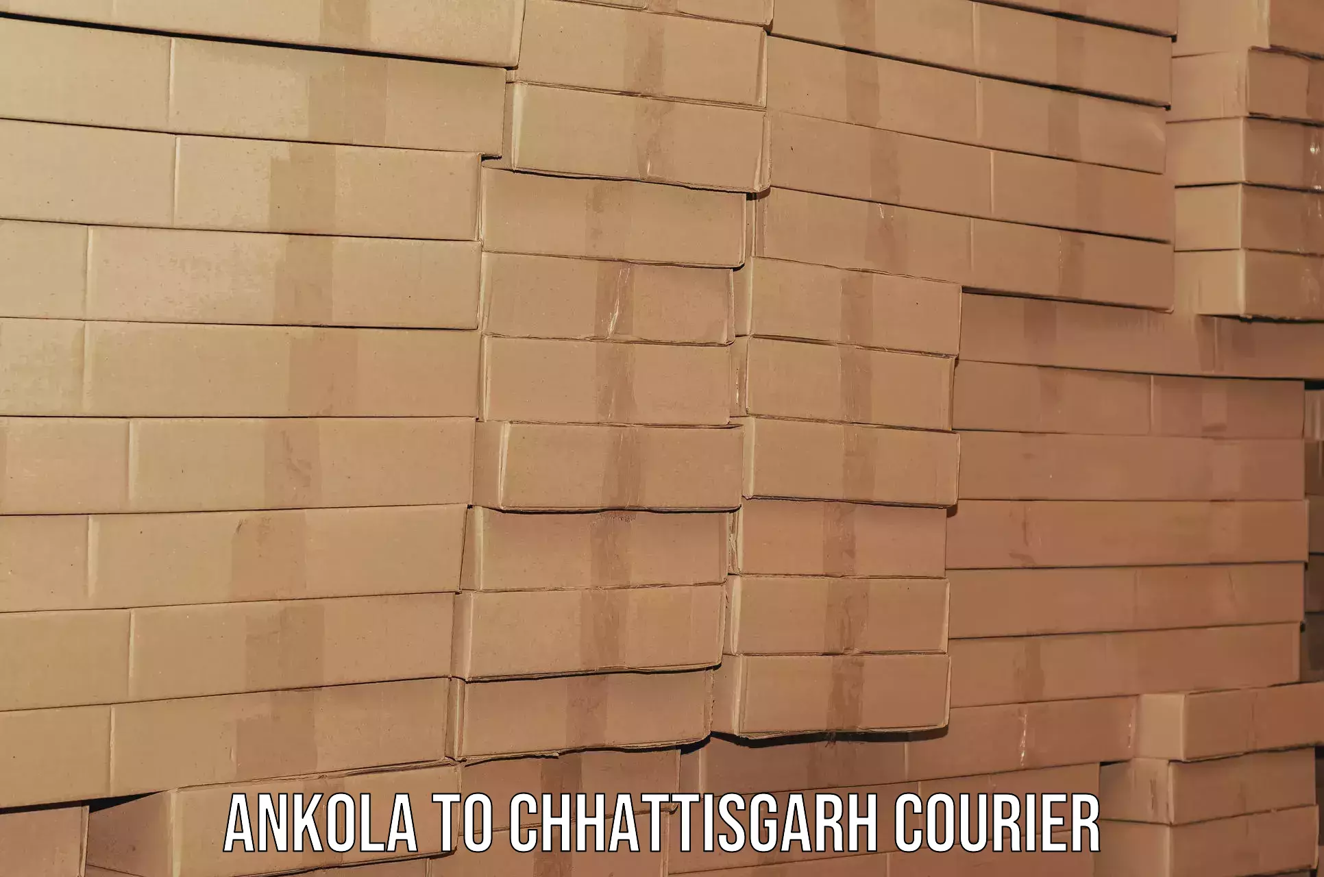 Professional furniture movers Ankola to Jagdalpur