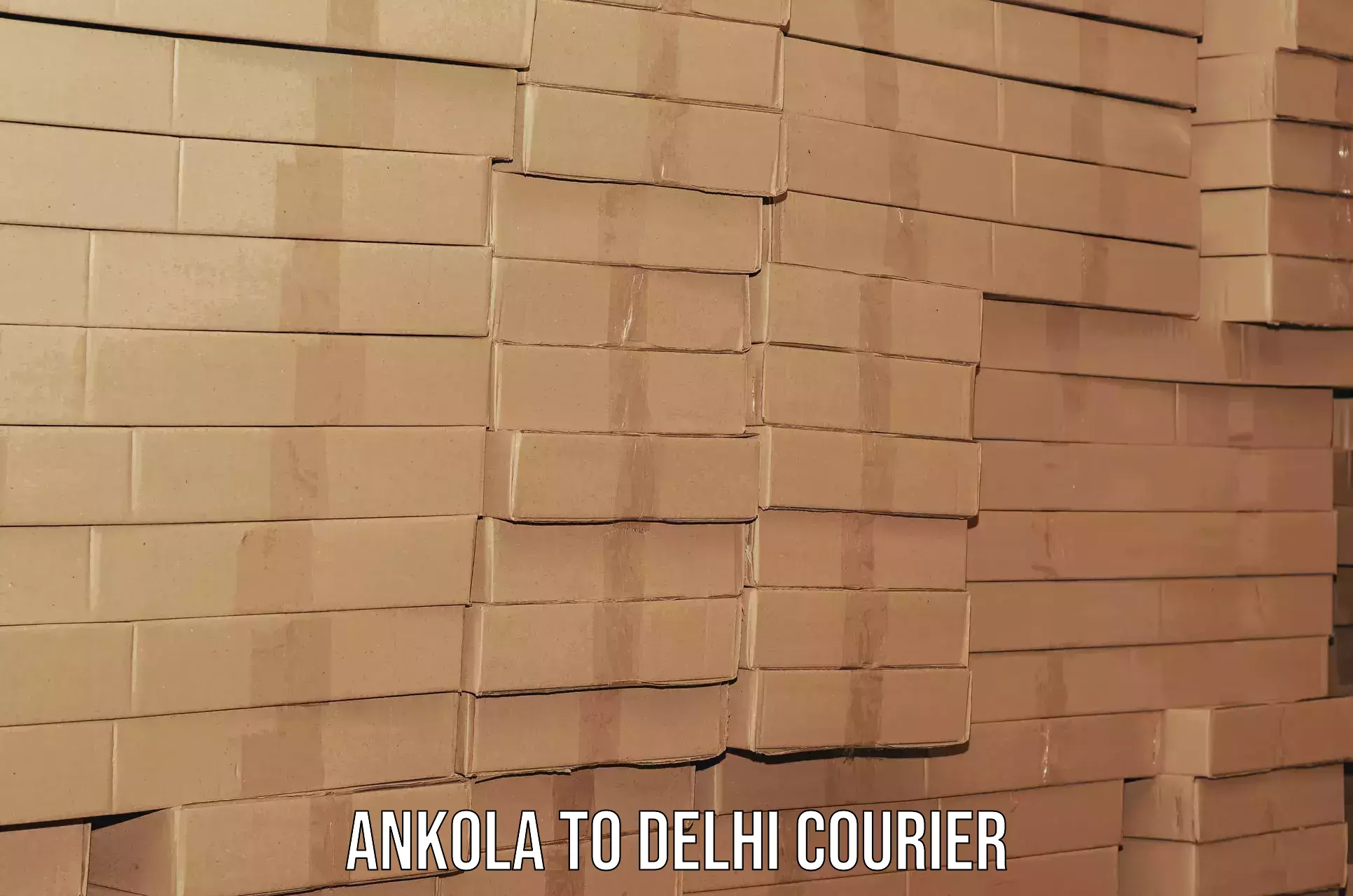 Household goods movers and packers Ankola to Delhi