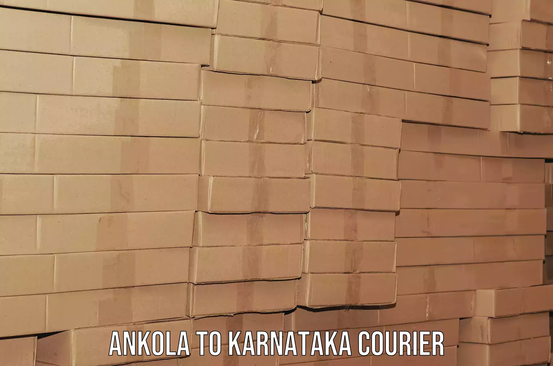 Quality moving company Ankola to Hagaribommanahalli