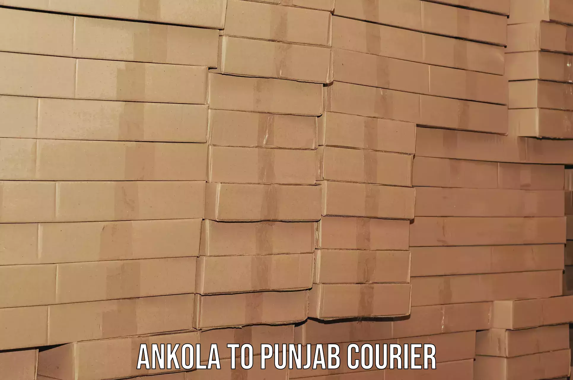 Smooth moving experience Ankola to Rupnagar