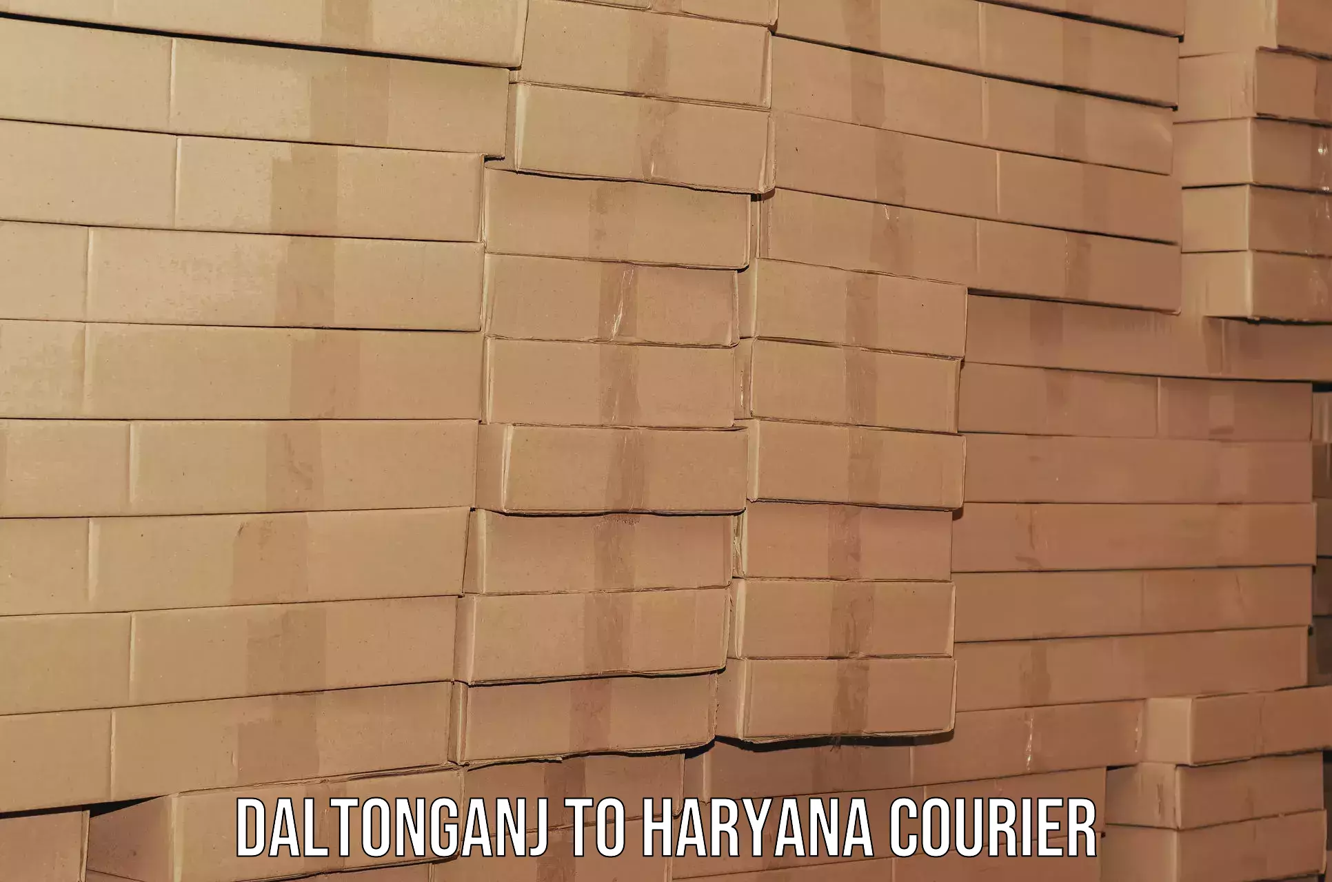 Professional furniture transport Daltonganj to Haryana