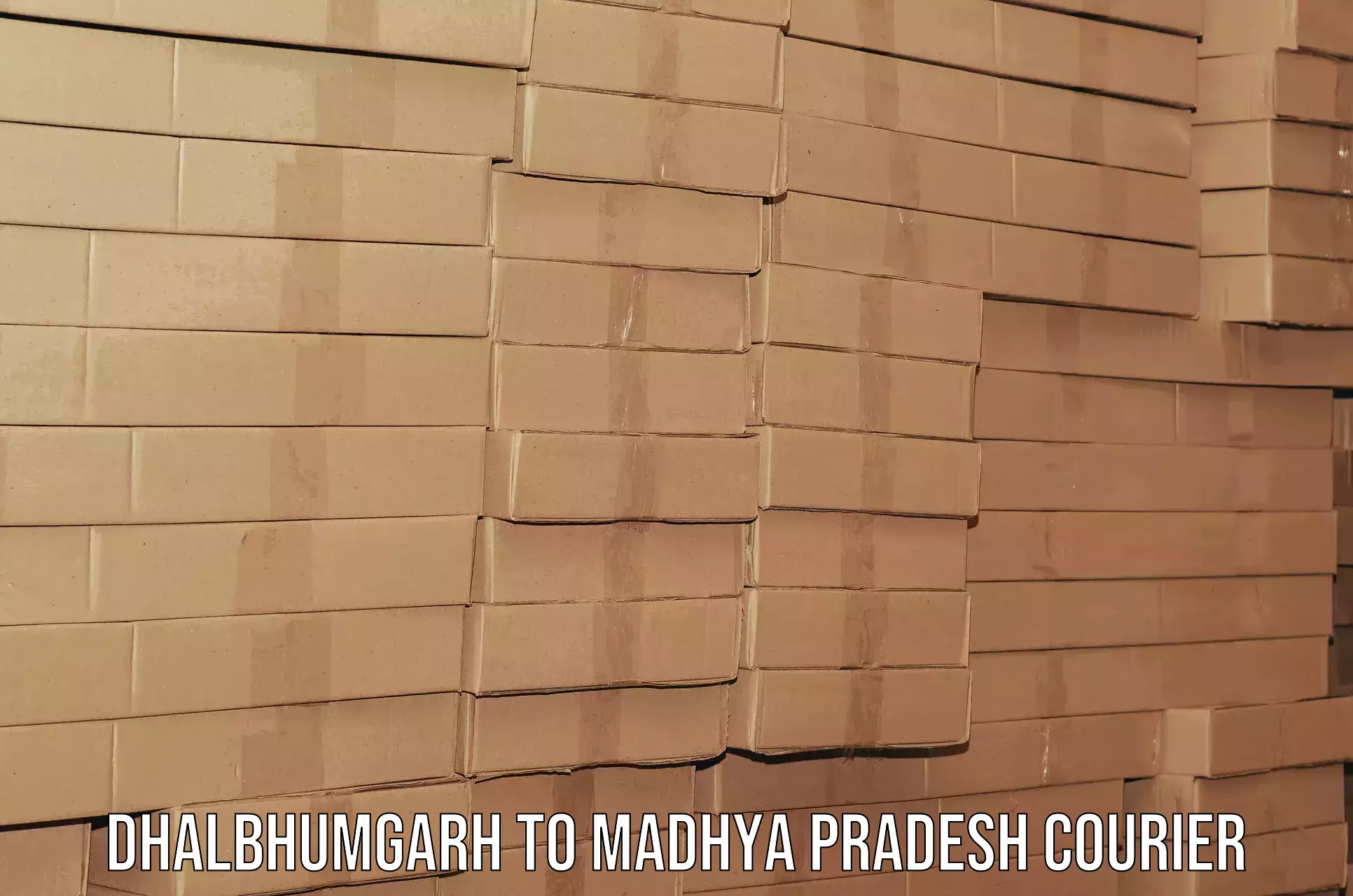 Expert moving and storage Dhalbhumgarh to Madhya Pradesh