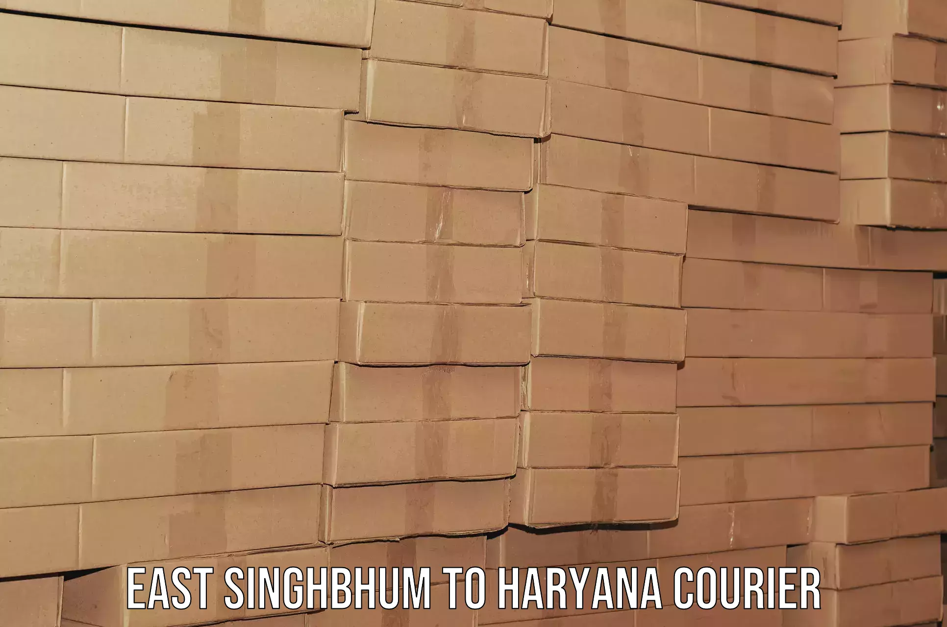 Household logistics services in East Singhbhum to NCR Haryana