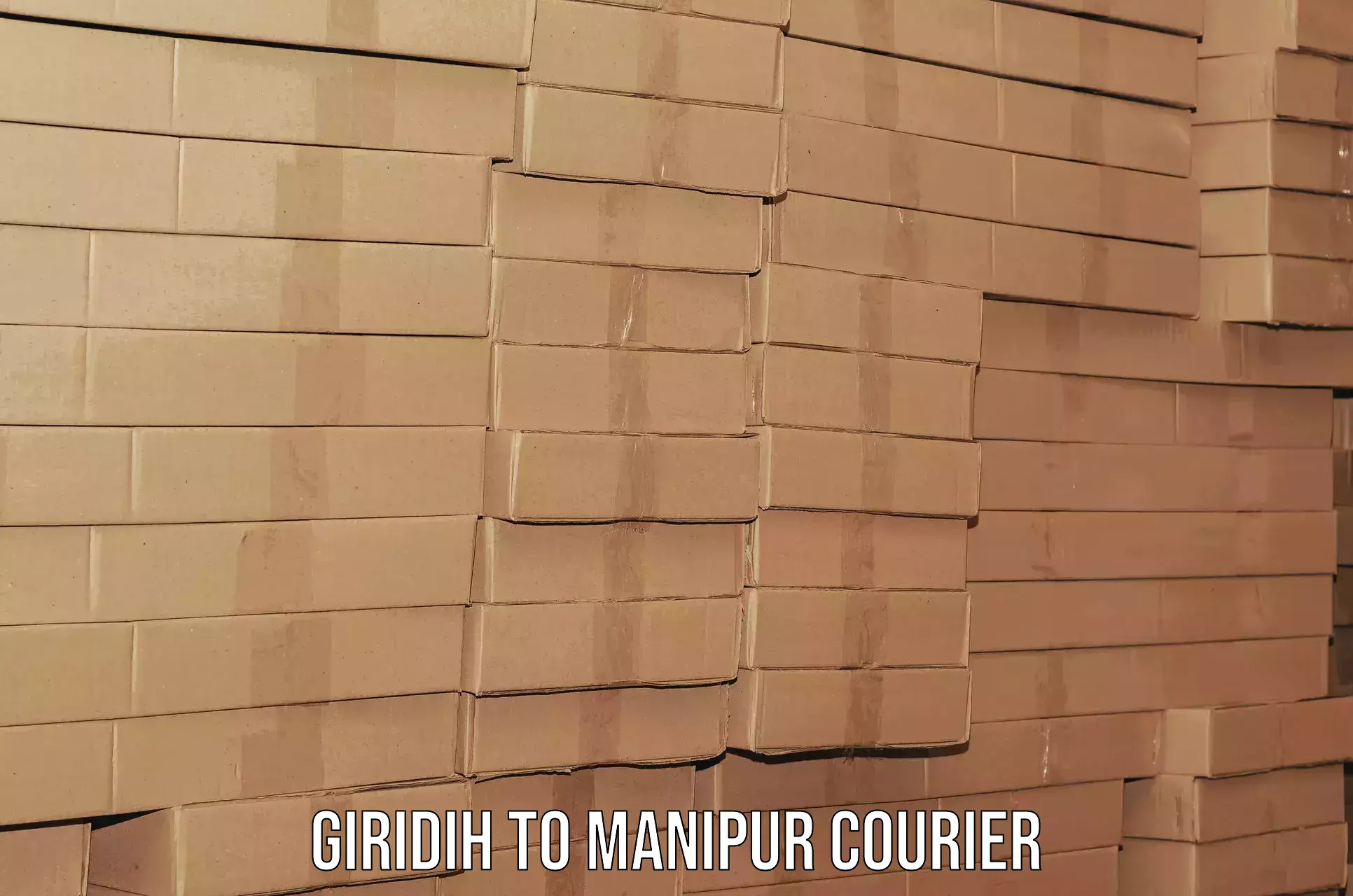 Hassle-free relocation Giridih to Manipur