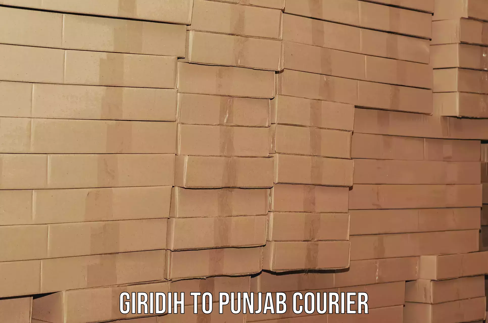 Dependable household movers Giridih to Punjab