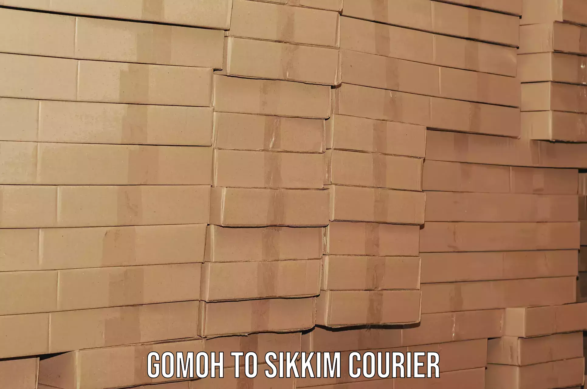 Customized moving solutions Gomoh to East Sikkim