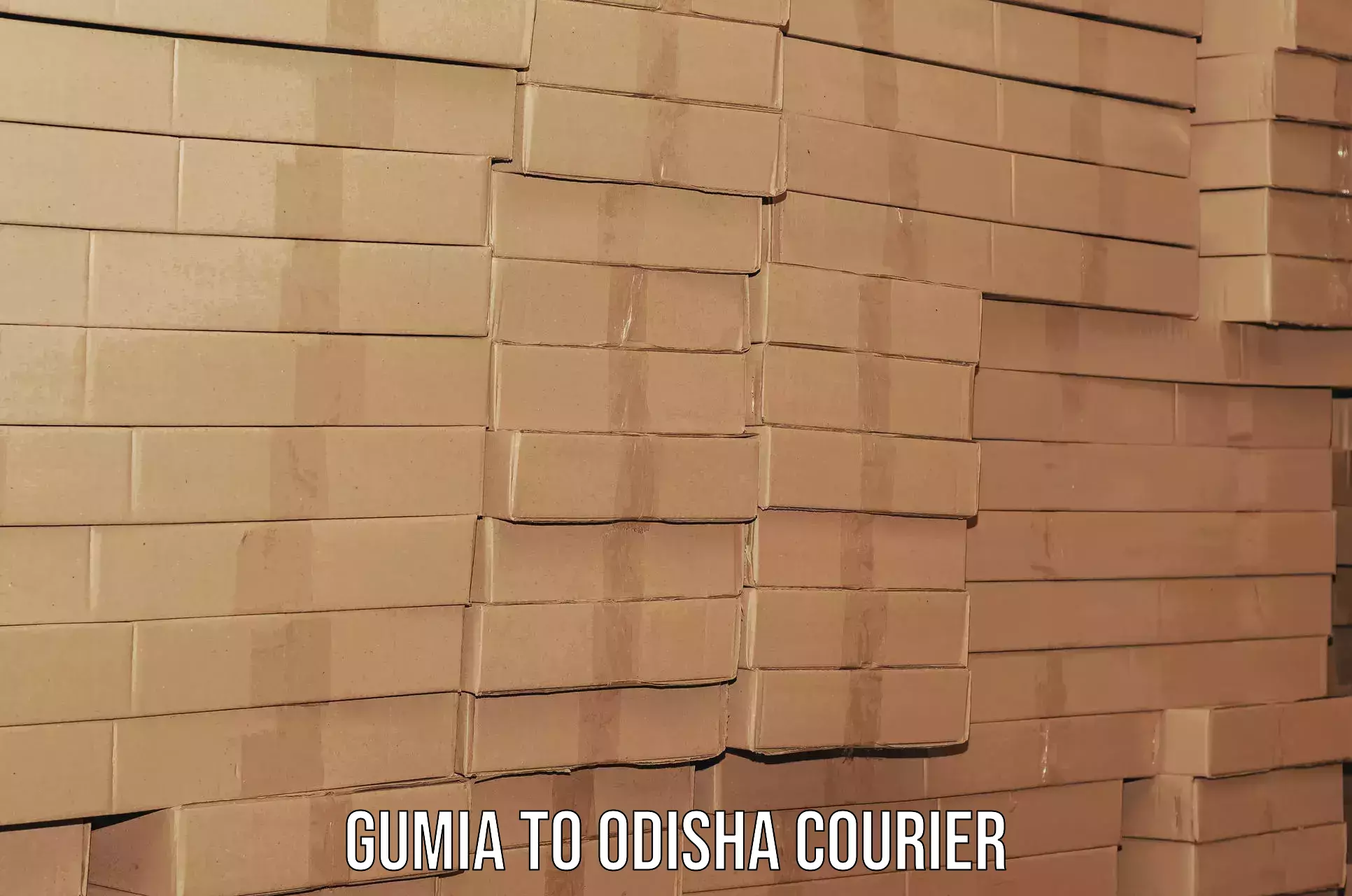 Expert moving and storage Gumia to Tikiri