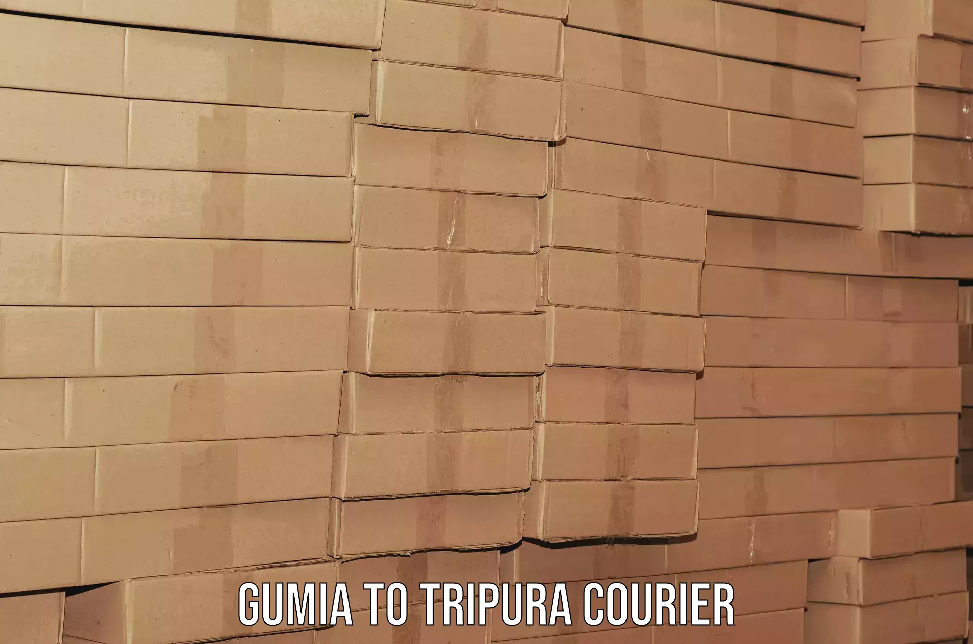 Professional home relocation Gumia to Tripura