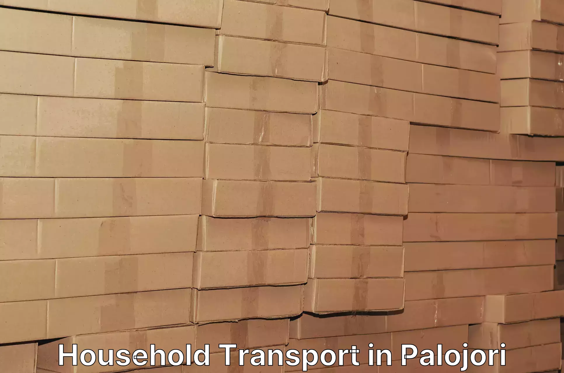Household moving and handling in Palojori