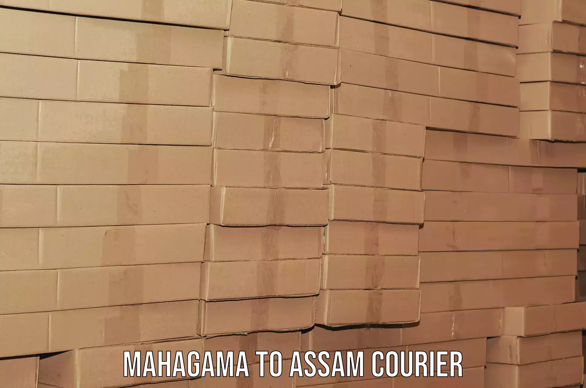 Skilled household transport Mahagama to Assam