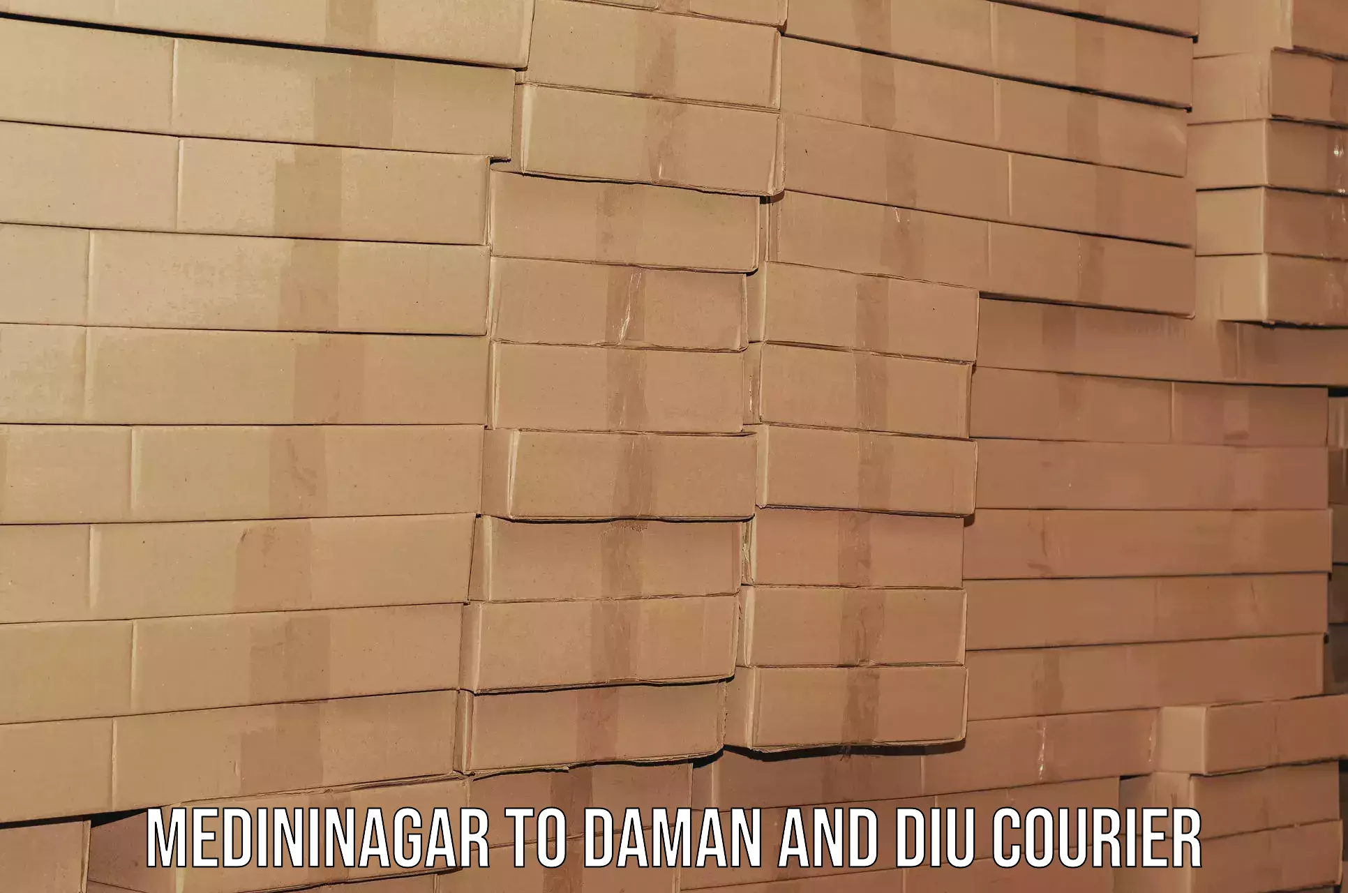 Nationwide household movers Medininagar to Daman and Diu