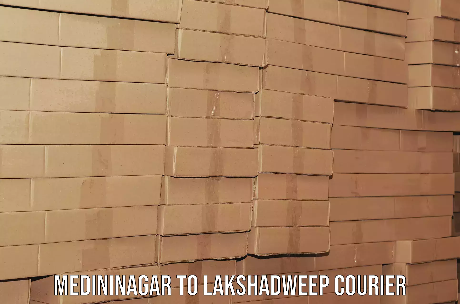 Professional packing services Medininagar to Lakshadweep
