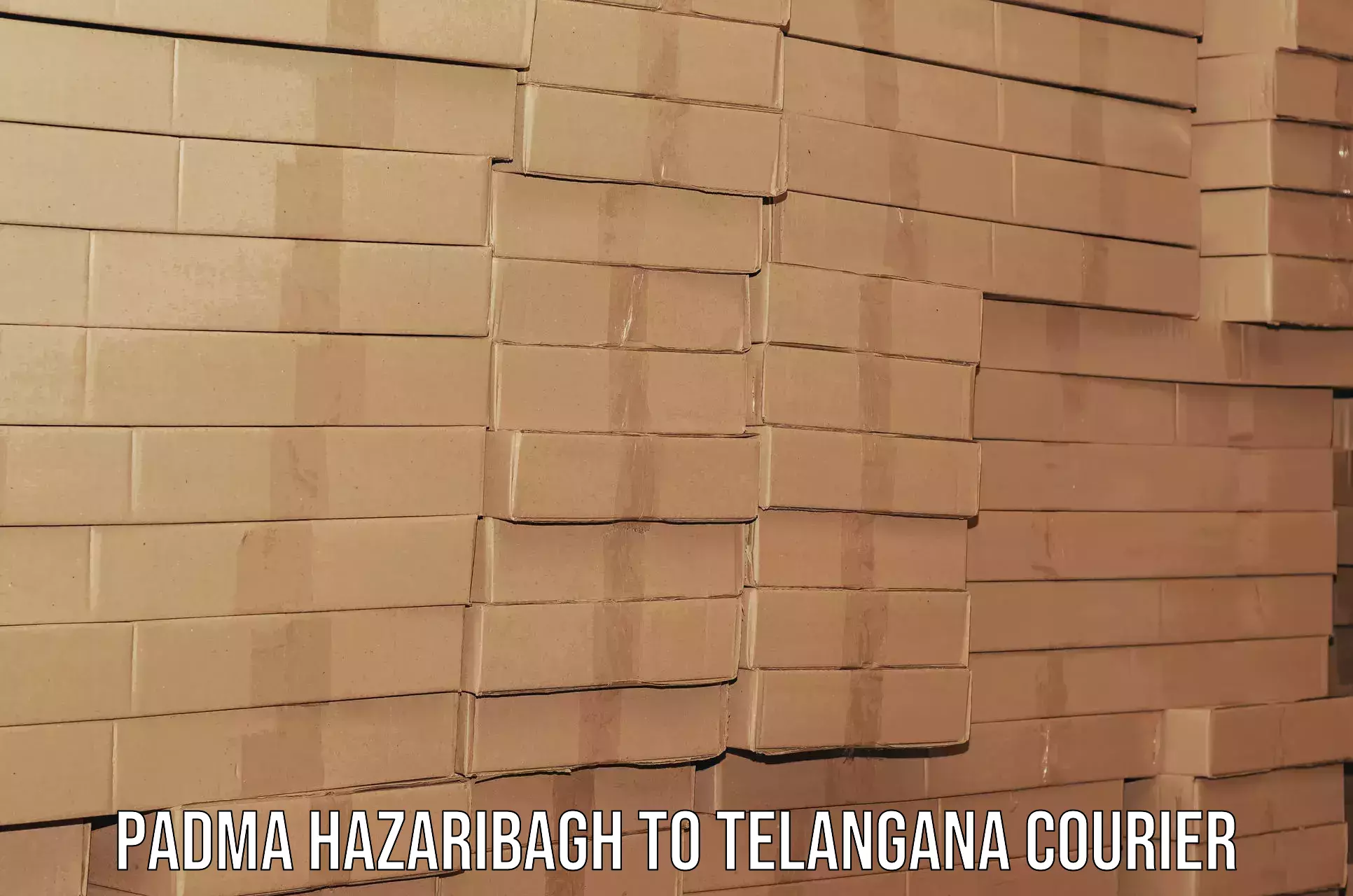 Expert relocation solutions Padma Hazaribagh to Warangal