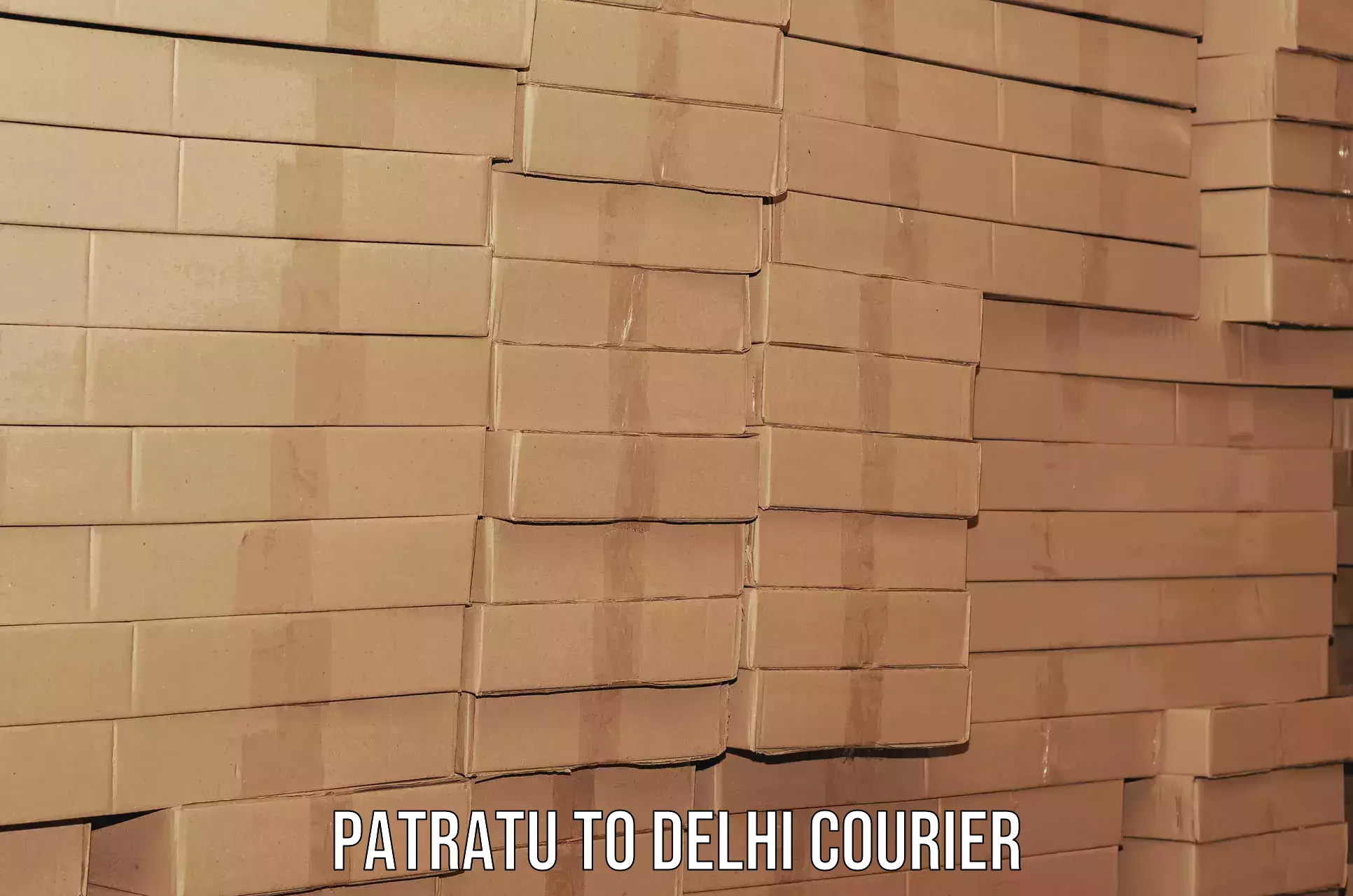 Professional moving assistance Patratu to Delhi