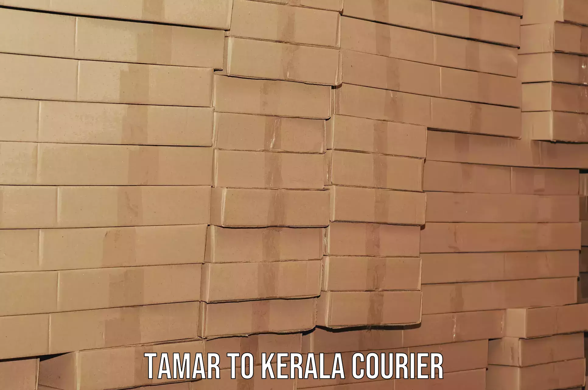 Budget-friendly movers Tamar to Thiruvananthapuram