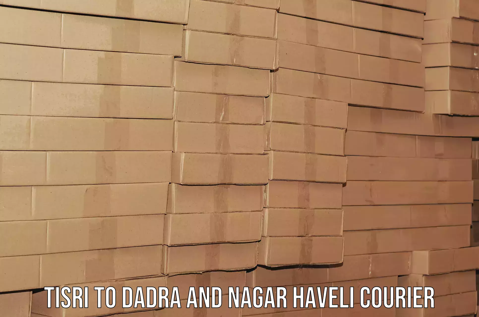 Comprehensive relocation services in Tisri to Dadra and Nagar Haveli