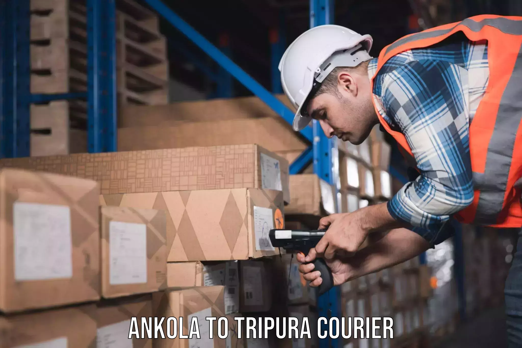 Quality furniture shipping Ankola to Amarpur
