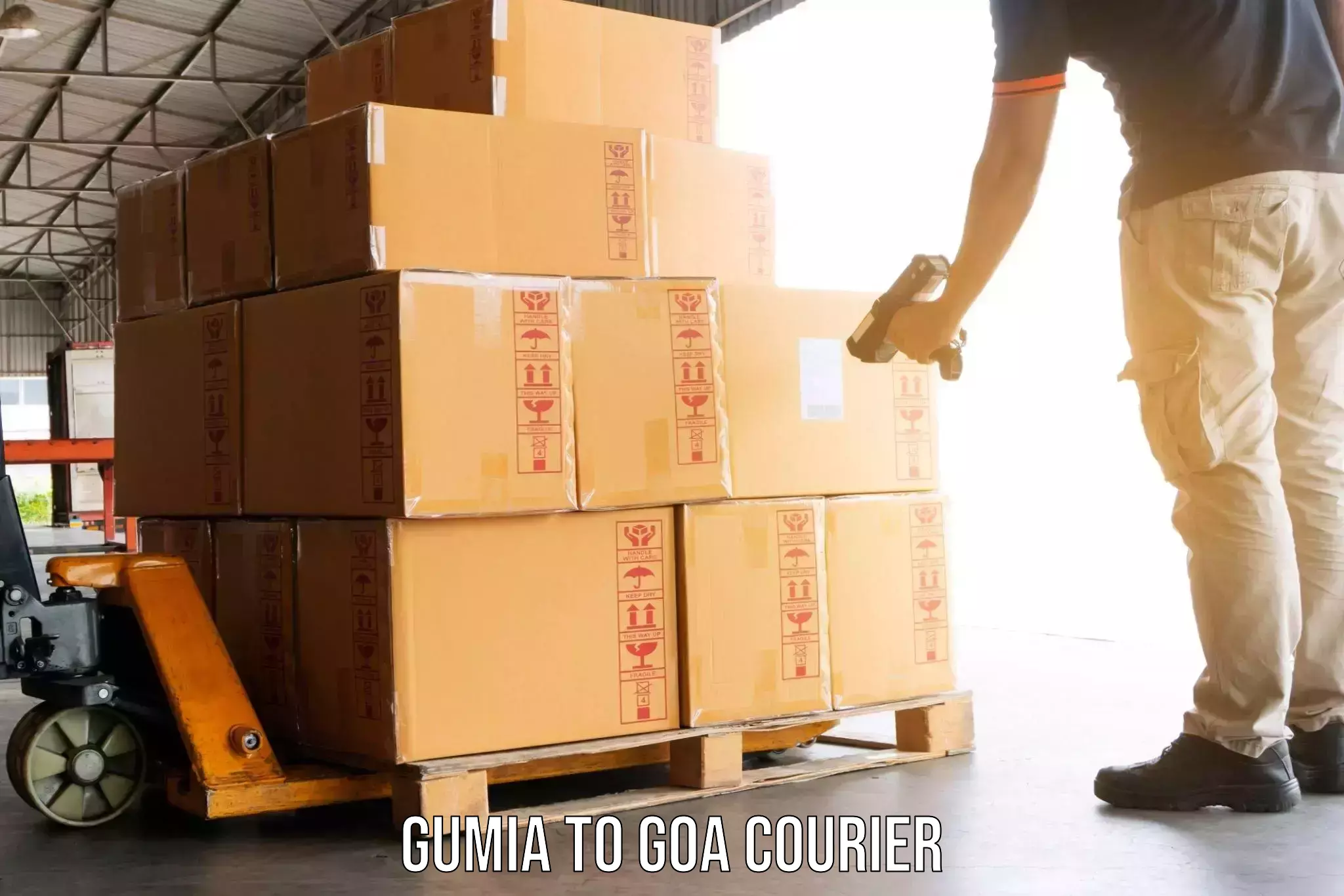 Professional moving strategies Gumia to Goa