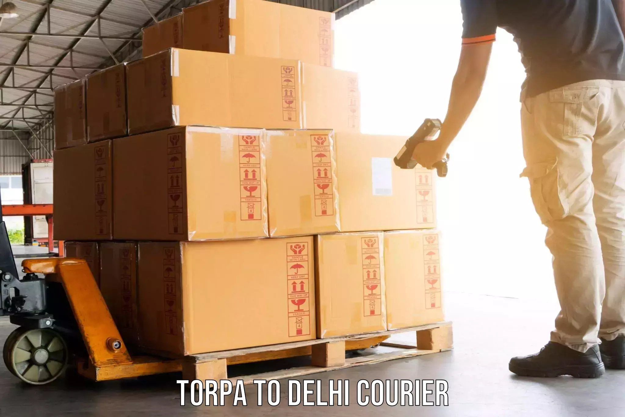 Reliable relocation services Torpa to Ramesh Nagar