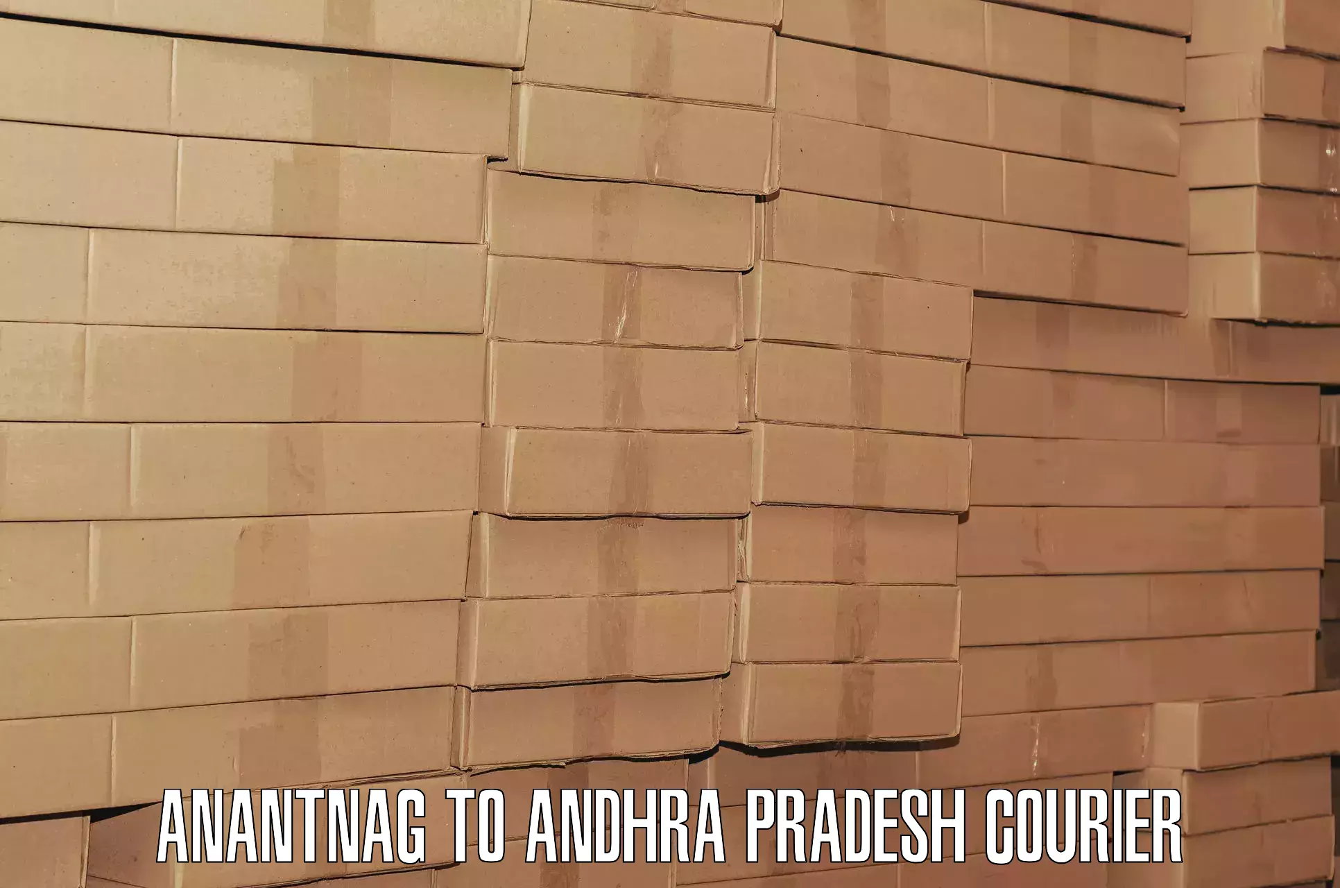 Baggage transport quote Anantnag to Andhra Pradesh