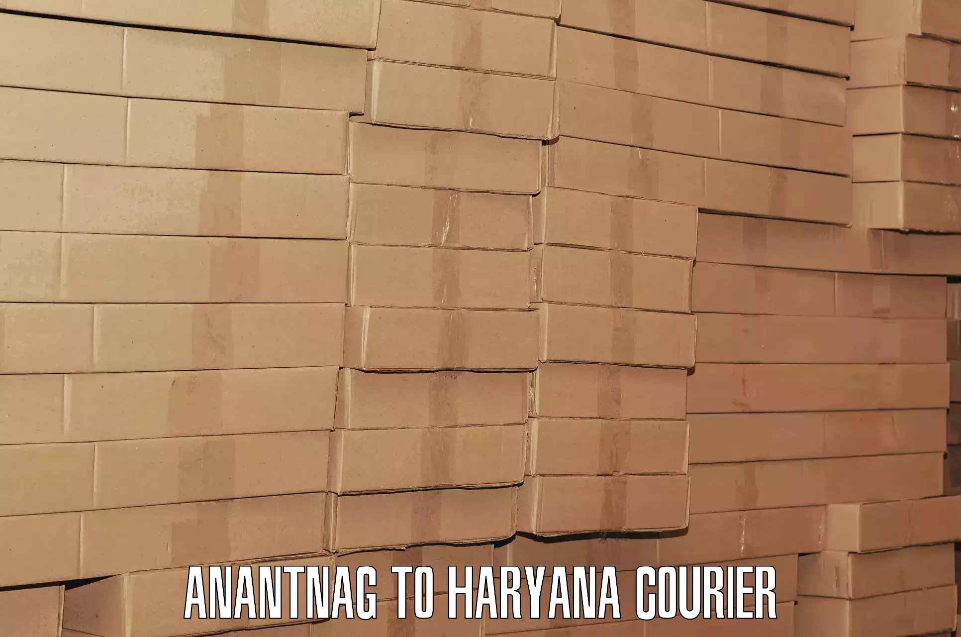 Baggage transport estimate Anantnag to Haryana