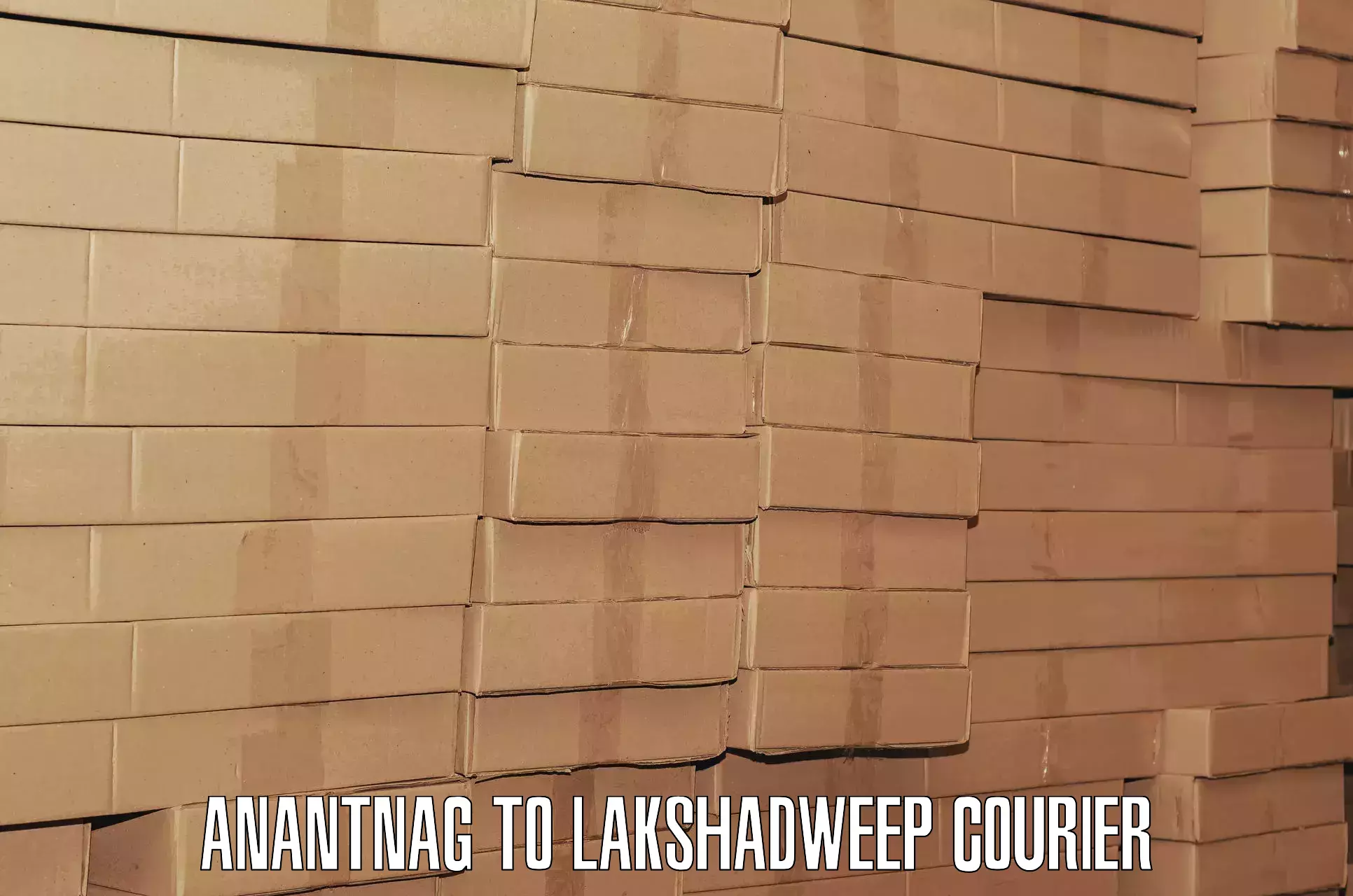 Personalized luggage shipping Anantnag to Lakshadweep