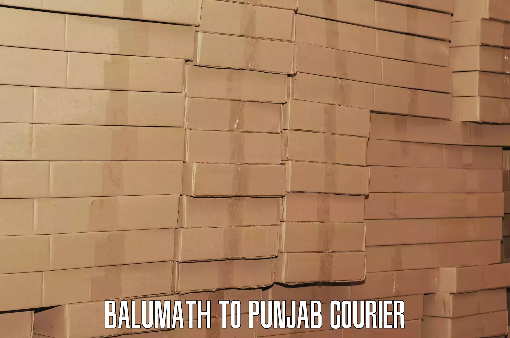 Baggage shipping experience Balumath to Talwara