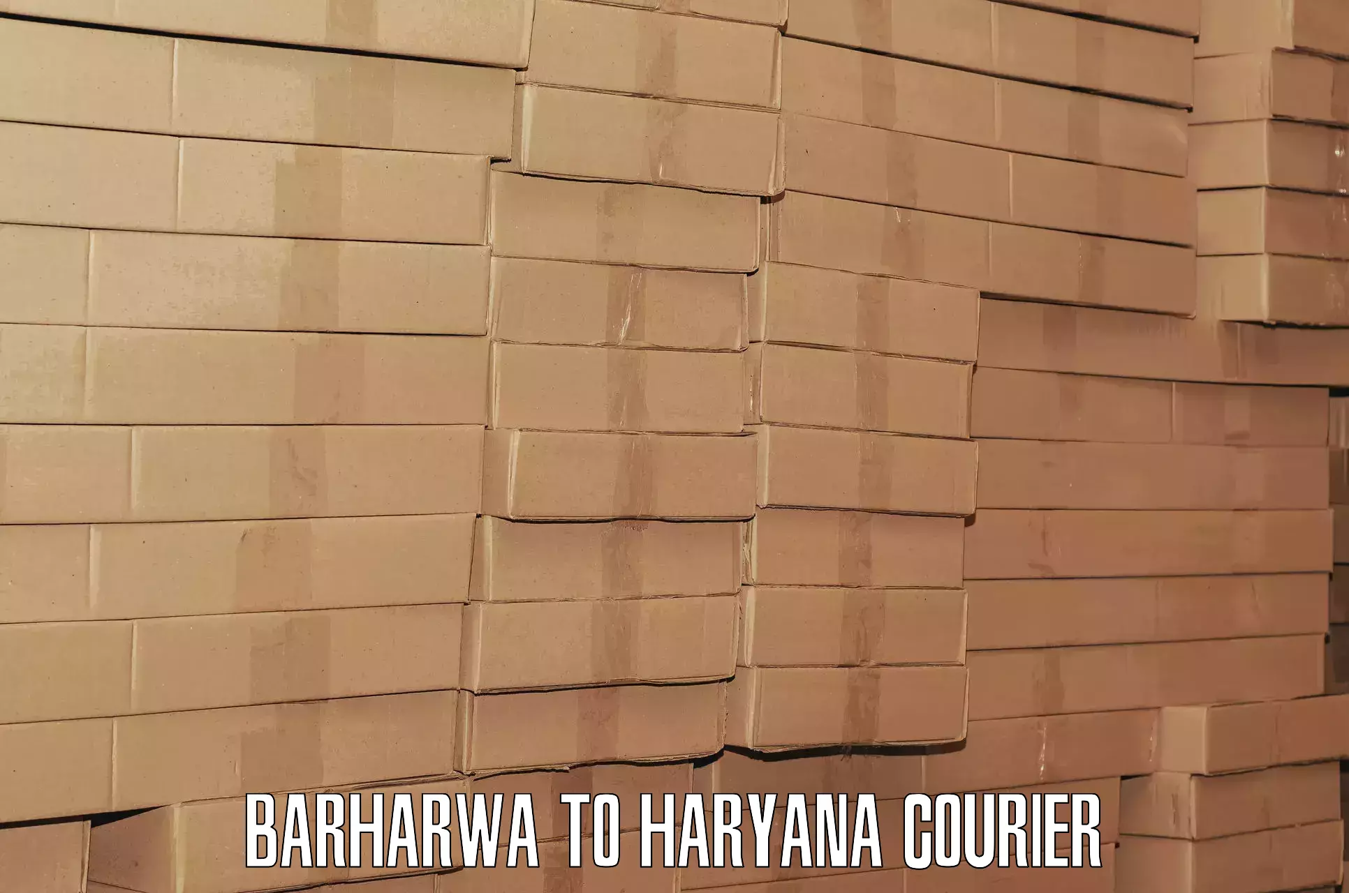 Luggage delivery network Barharwa to Barwala