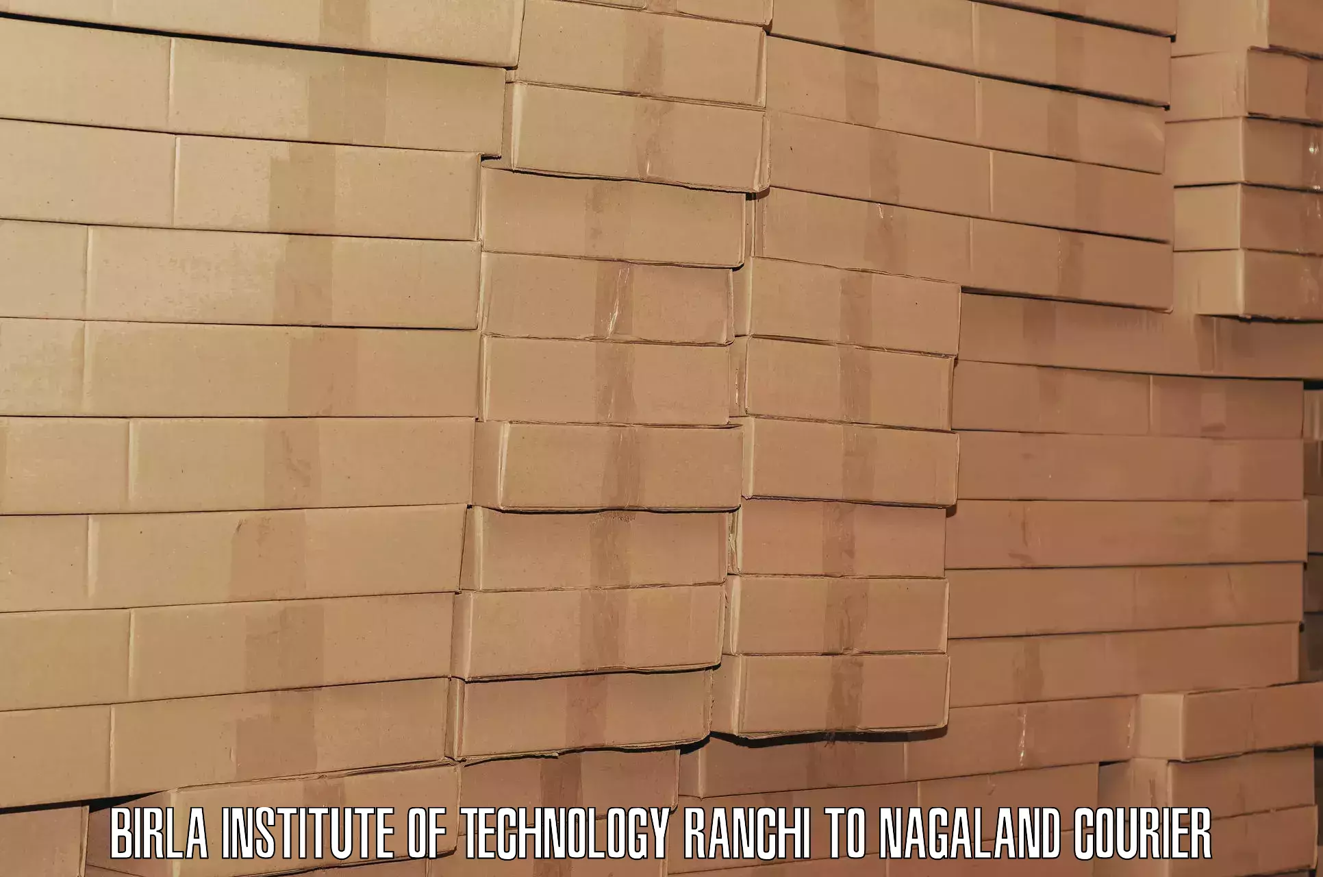 Luggage transport guidelines Birla Institute of Technology Ranchi to Nagaland