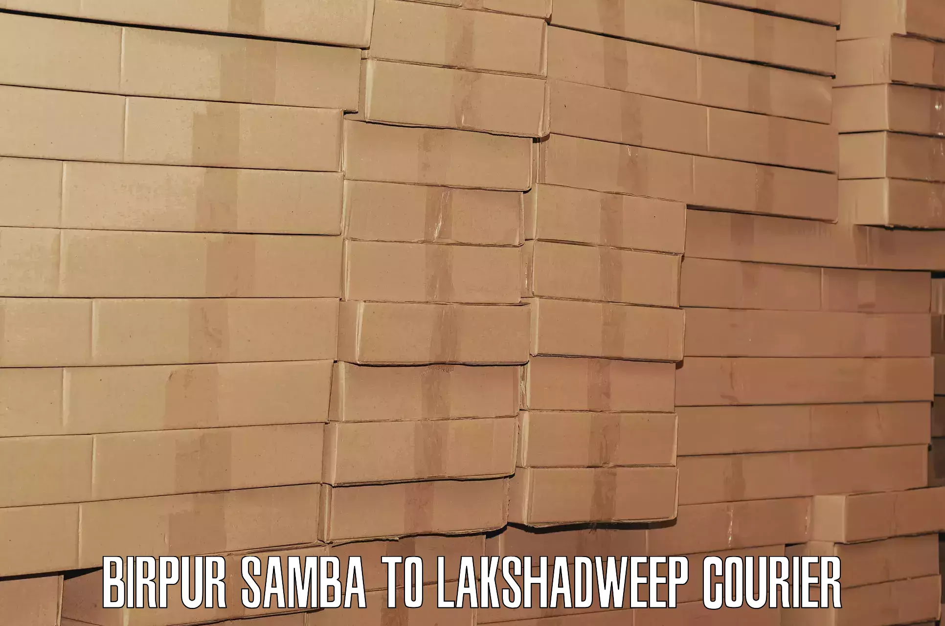 Streamlined baggage delivery Birpur Samba to Lakshadweep