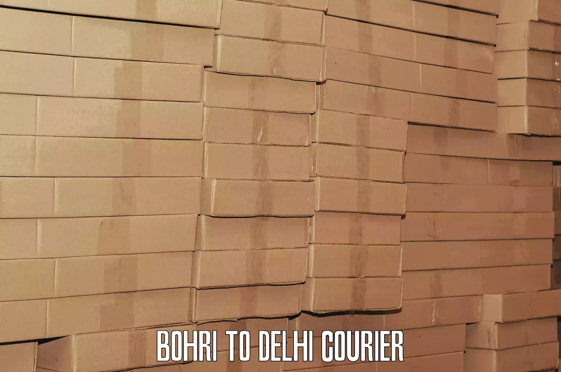 Luggage transport schedule Bohri to Delhi
