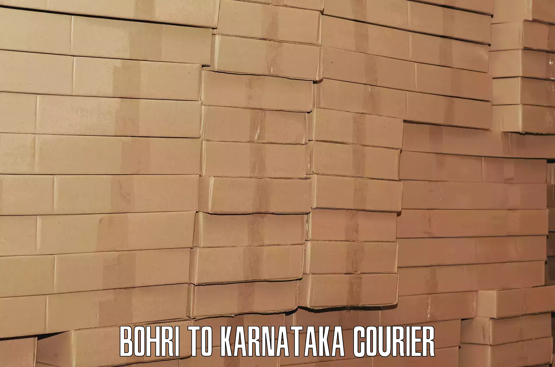 Luggage courier planning Bohri to Gubbi