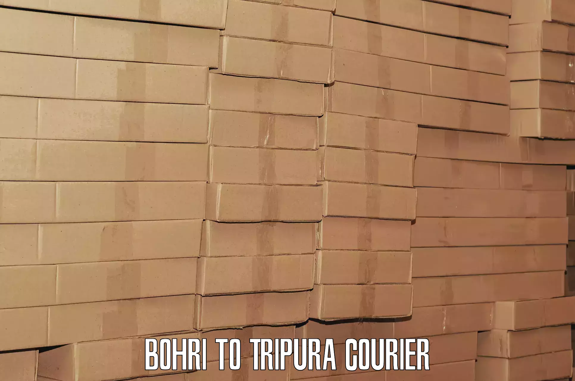 Reliable luggage courier Bohri to North Tripura