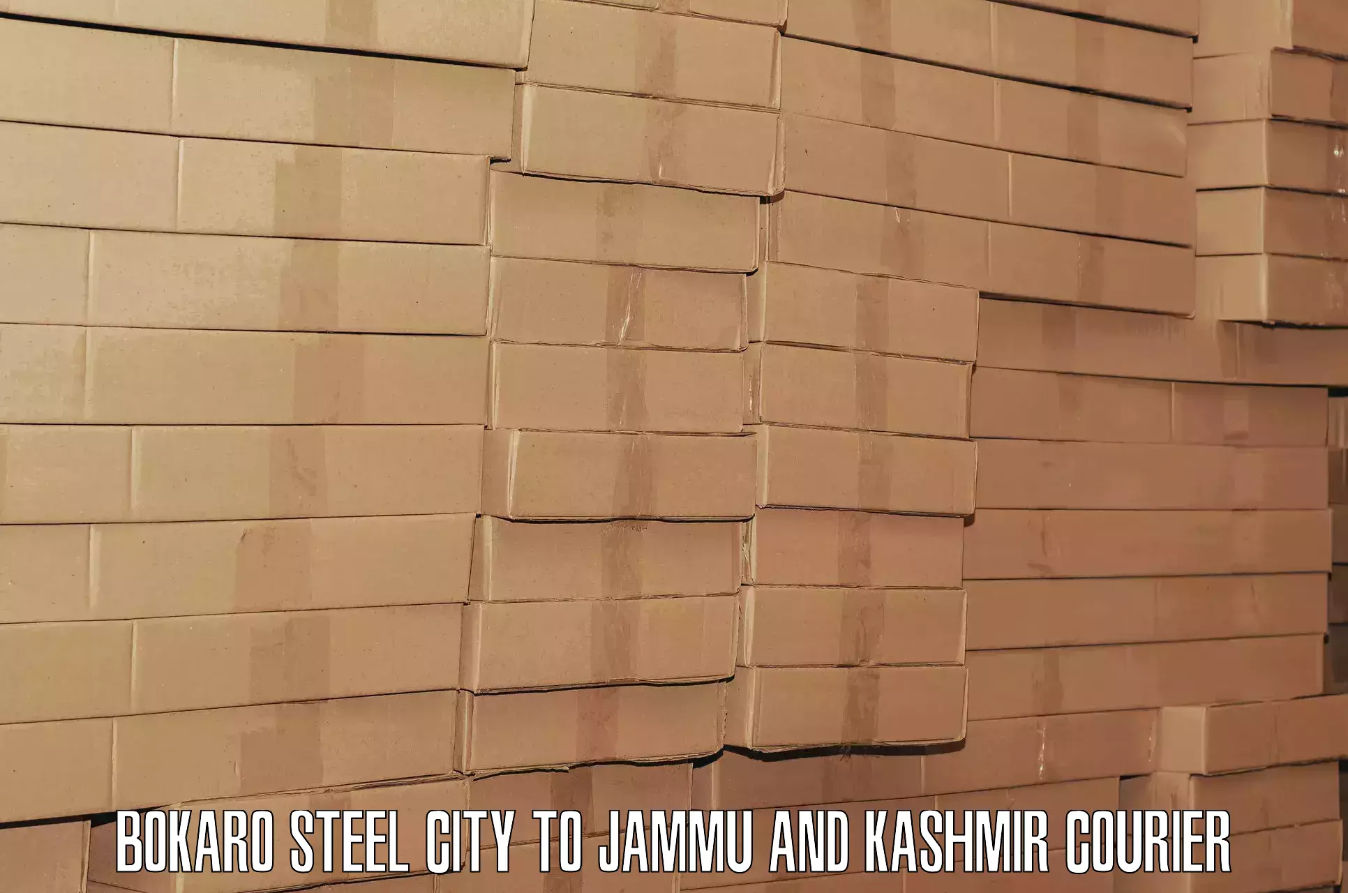 Door-to-door baggage service Bokaro Steel City to University of Jammu