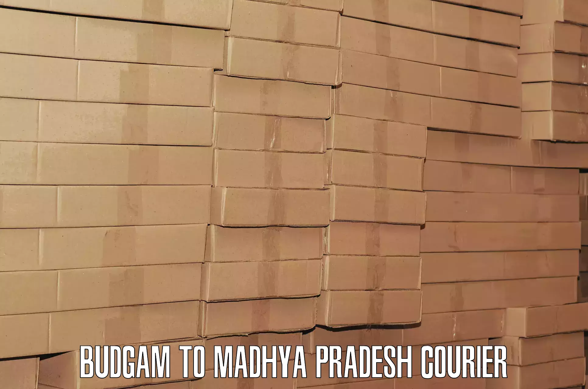Luggage delivery system Budgam to Madhya Pradesh