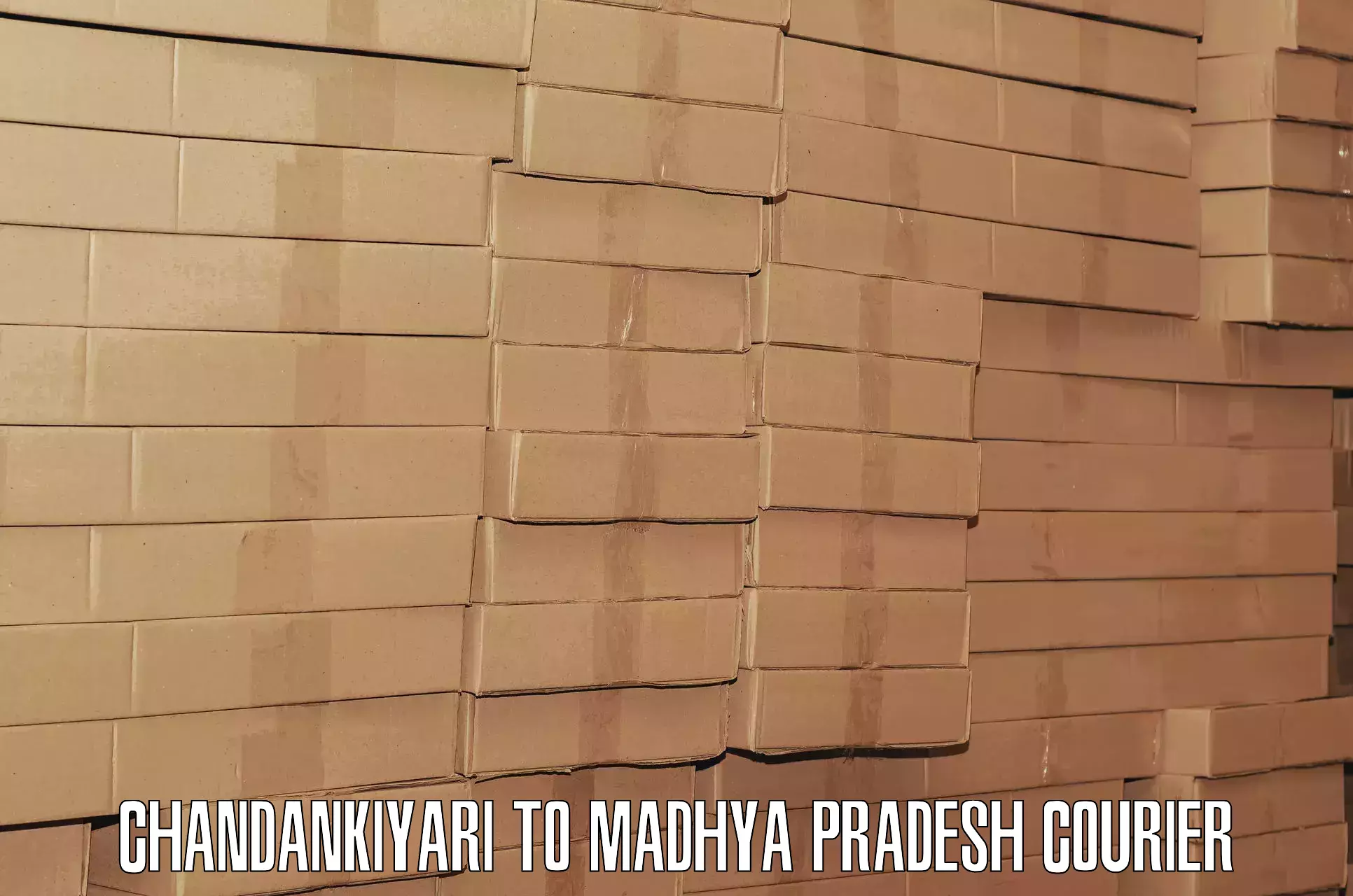 Baggage delivery support Chandankiyari to Madhya Pradesh