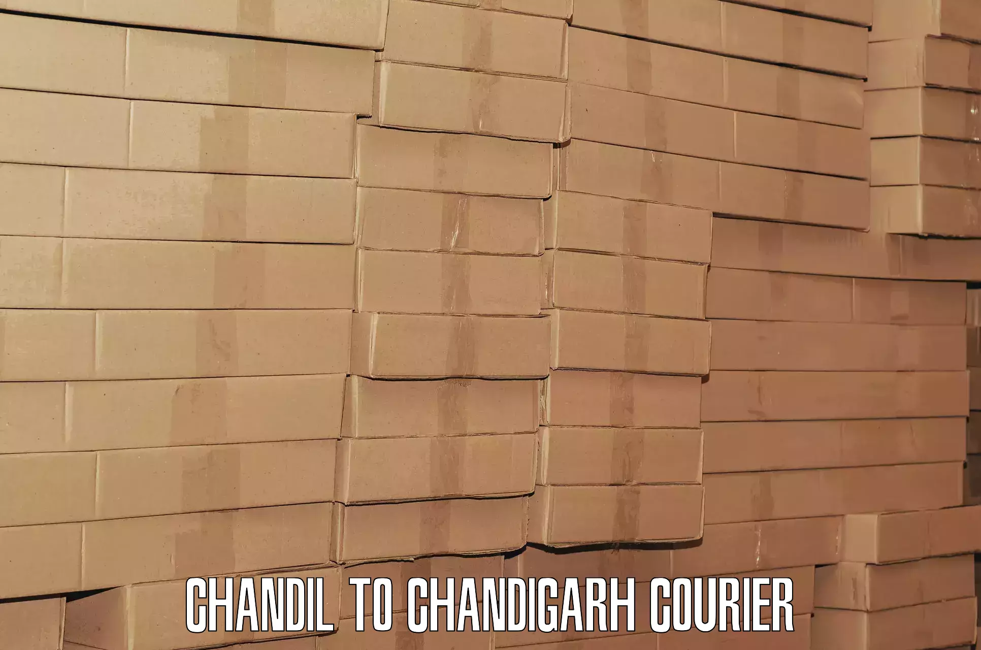 Luggage shipping logistics Chandil to Panjab University Chandigarh