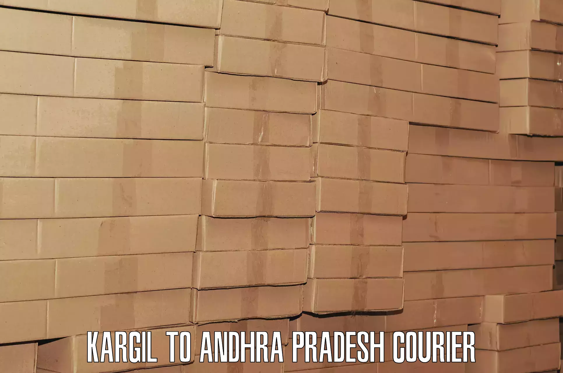Door to hotel baggage transport Kargil to Andhra Pradesh