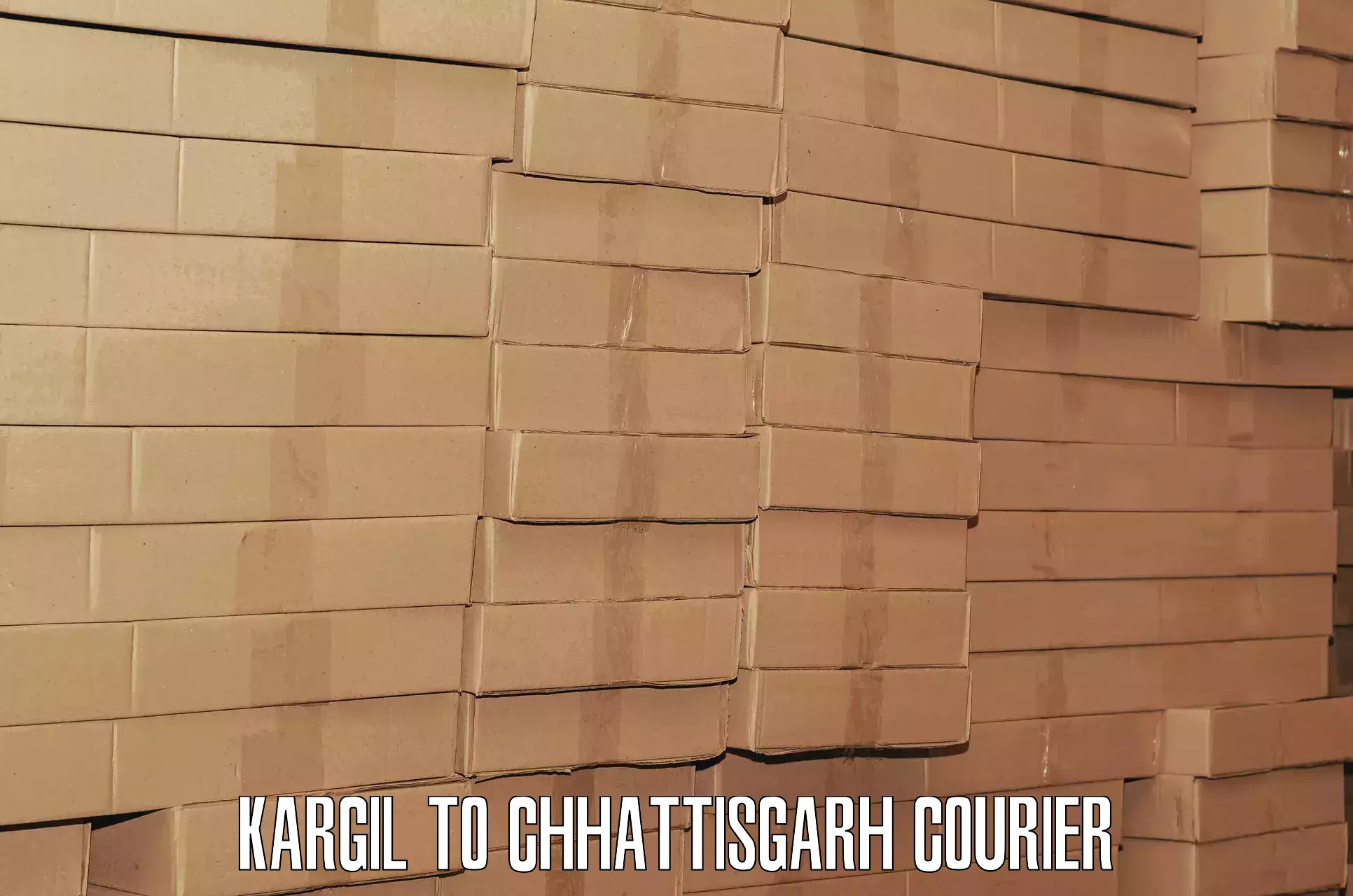 Light baggage courier Kargil to Chhattisgarh