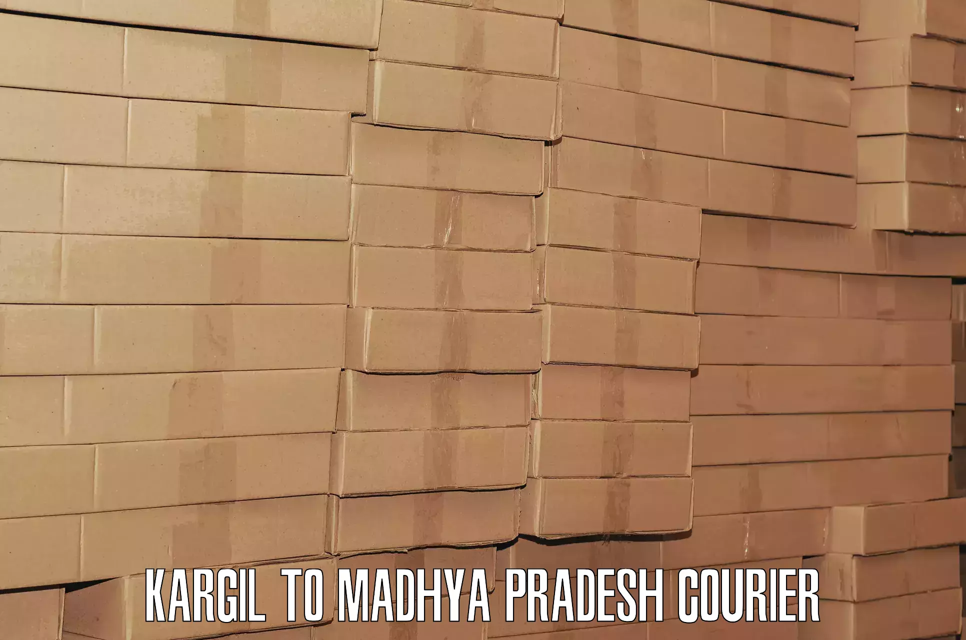 Baggage courier strategy in Kargil to Madhya Pradesh