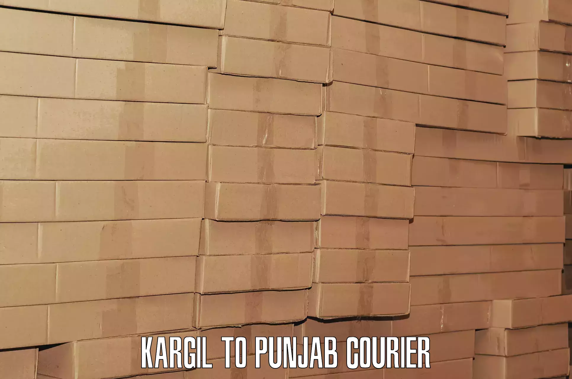 Luggage shipping trends Kargil to Central University of Punjab Bathinda