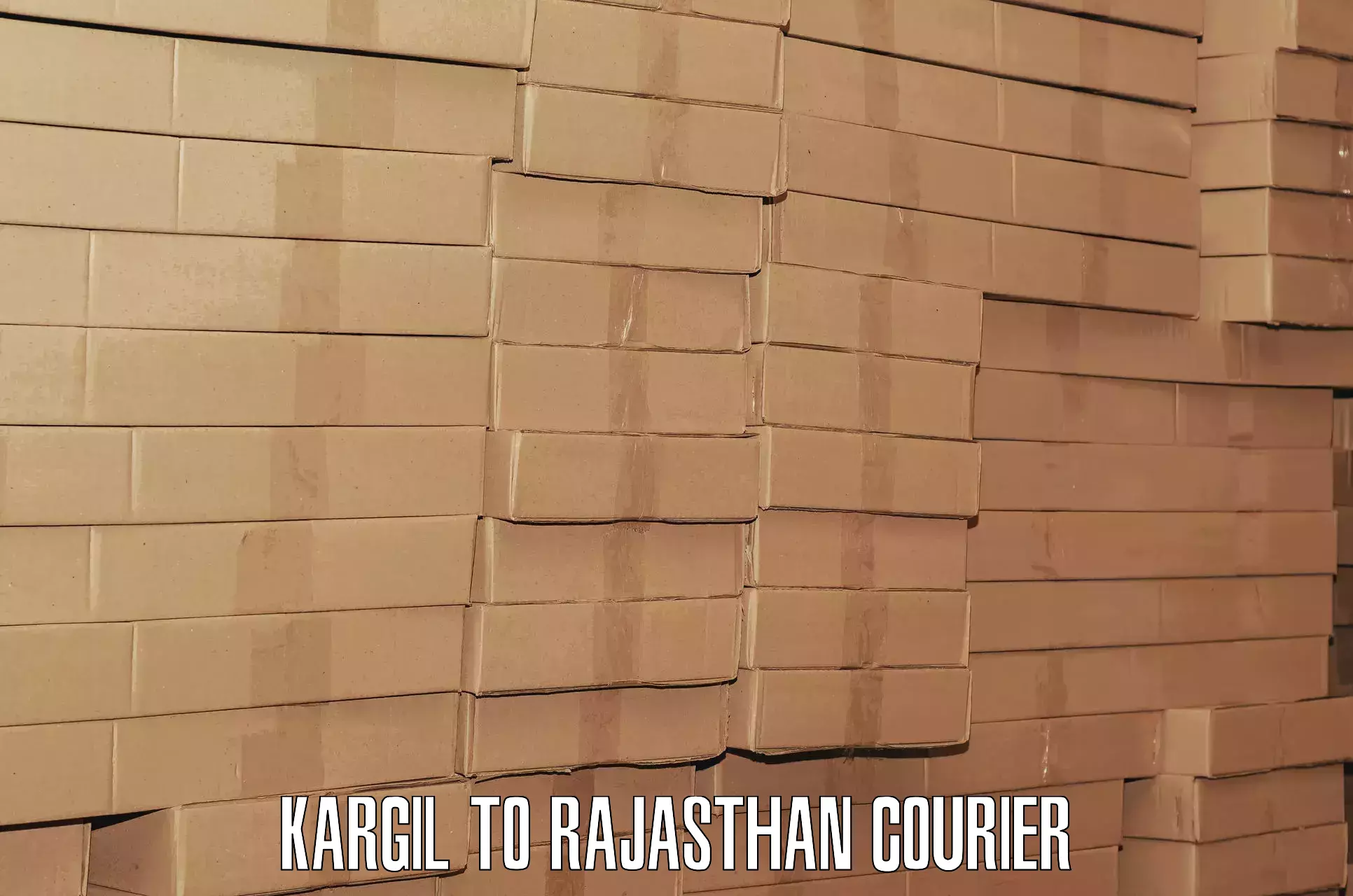 Baggage shipping logistics in Kargil to Kapasan