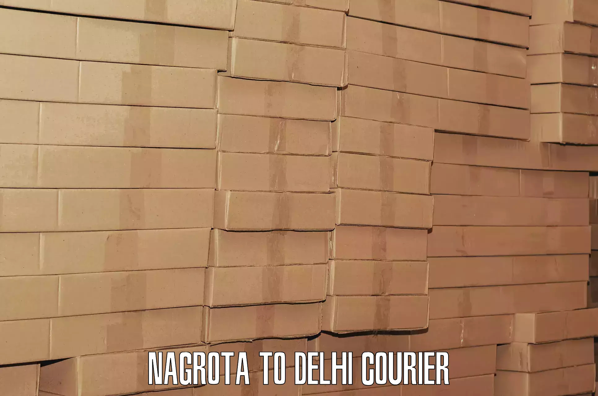 Round trip baggage courier Nagrota to Lodhi Road